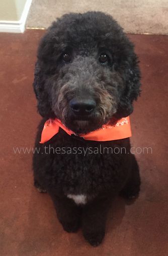 But doesn't he look so handsome? 
