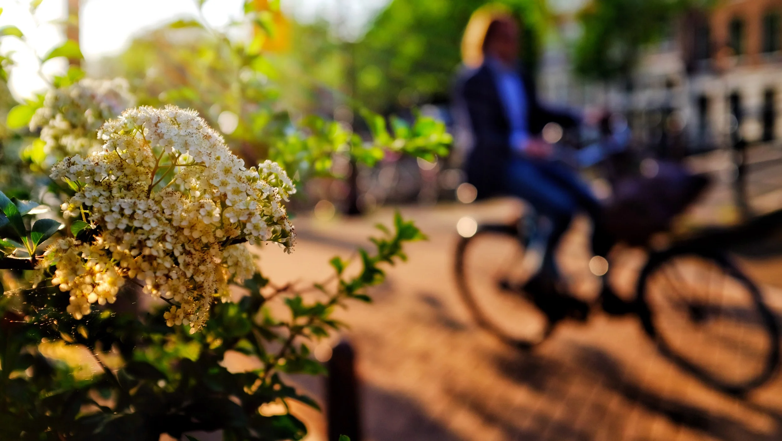 Exploring Amsterdam - Fujifilm X100T edited in Snapseed
