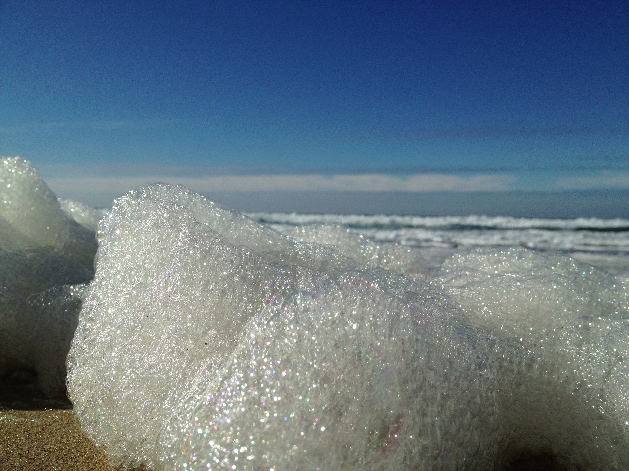 2013-01-03 12.07.07.jpg