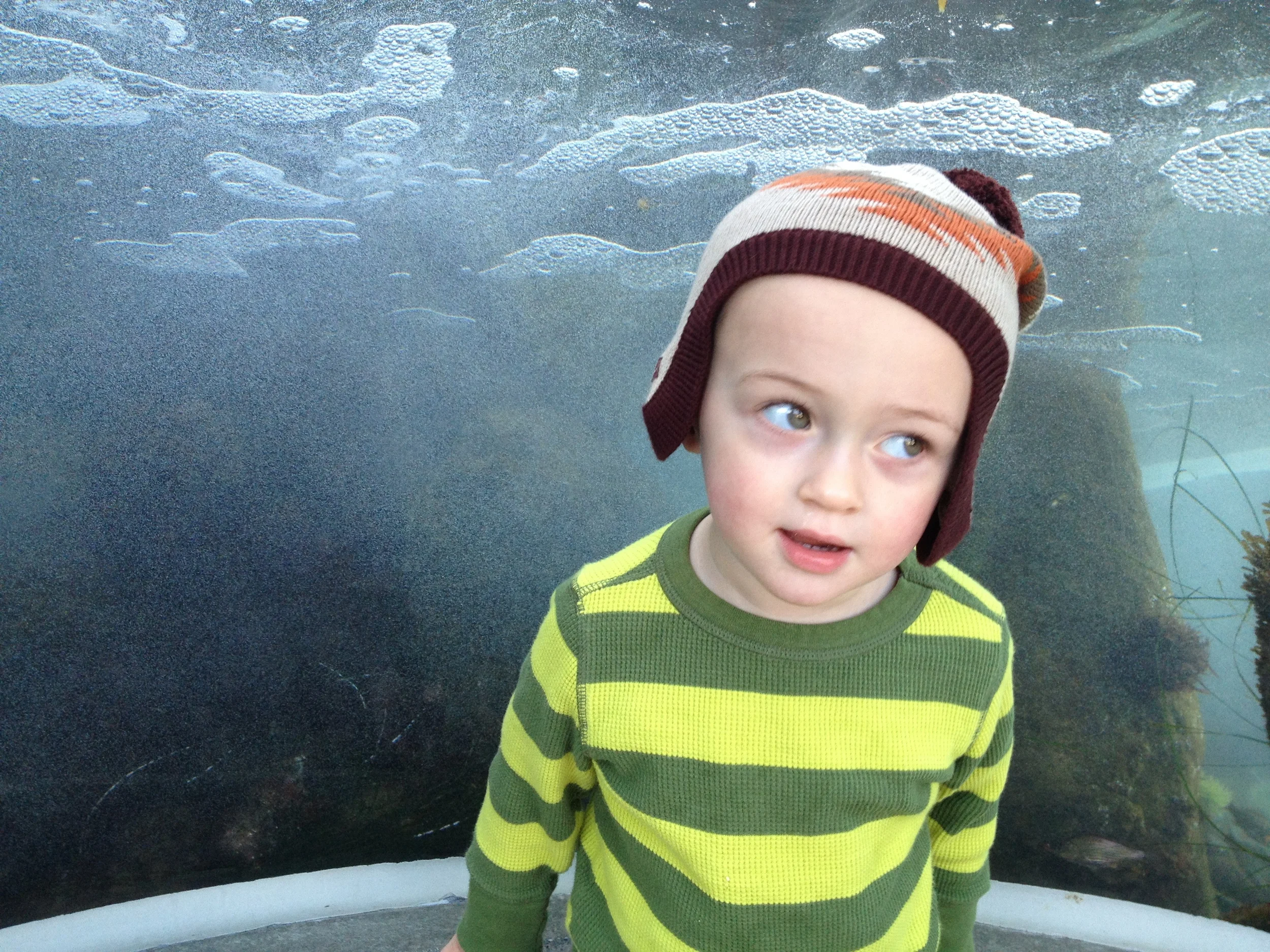 2013-03-09 14.43.33.jpg