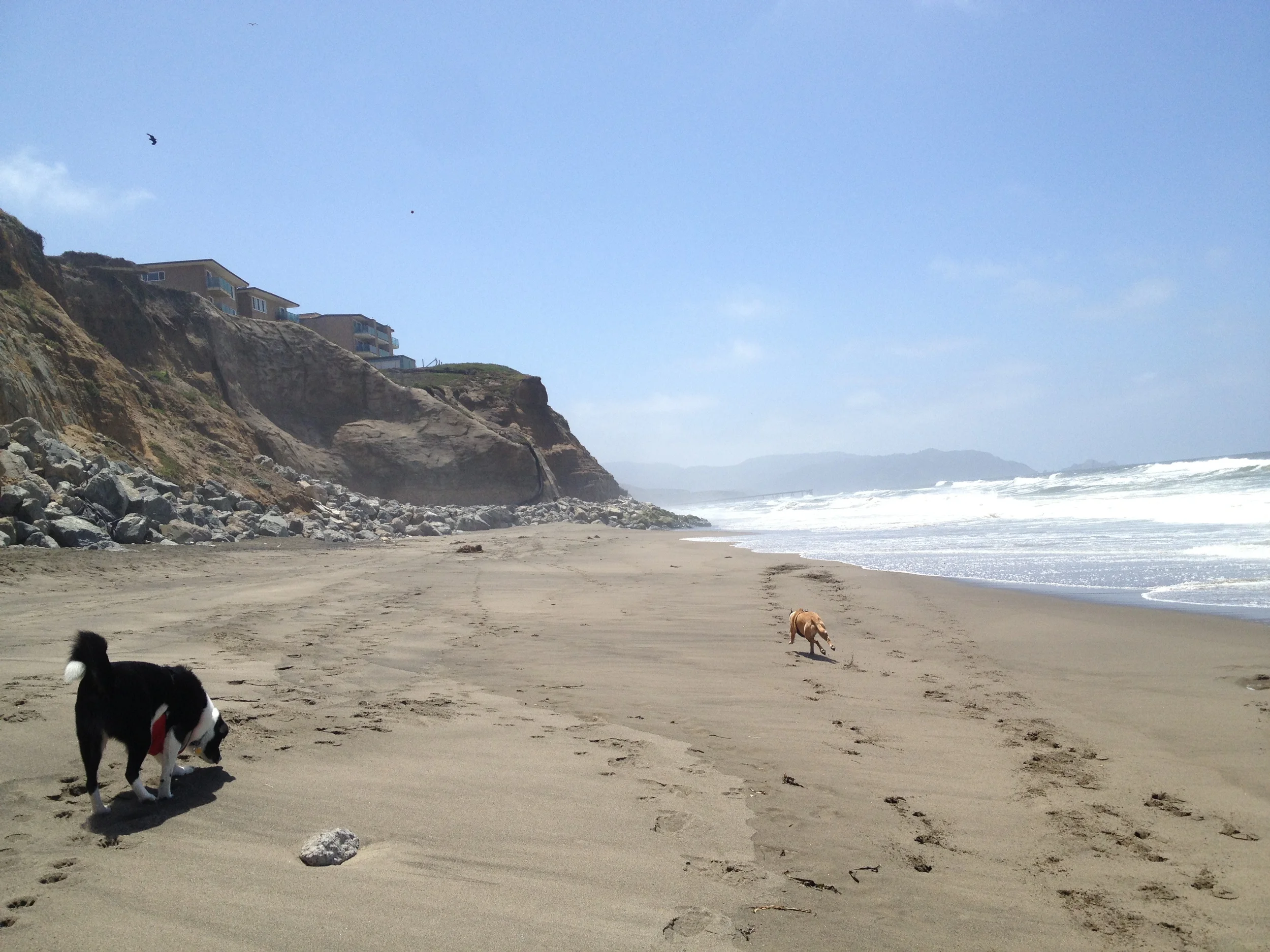 2013-05-14 12.33.30.jpg