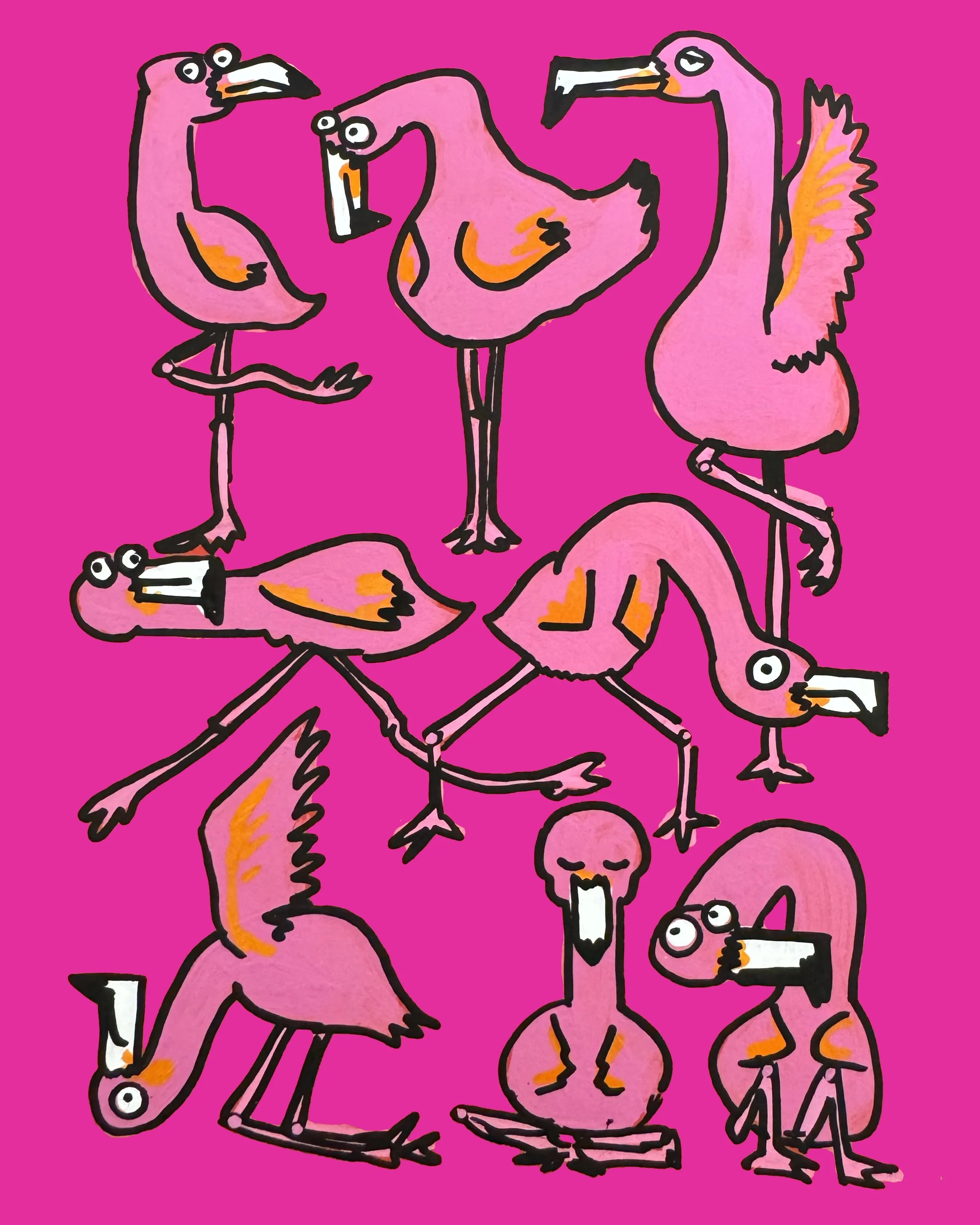 Flamingos 1.jpg
