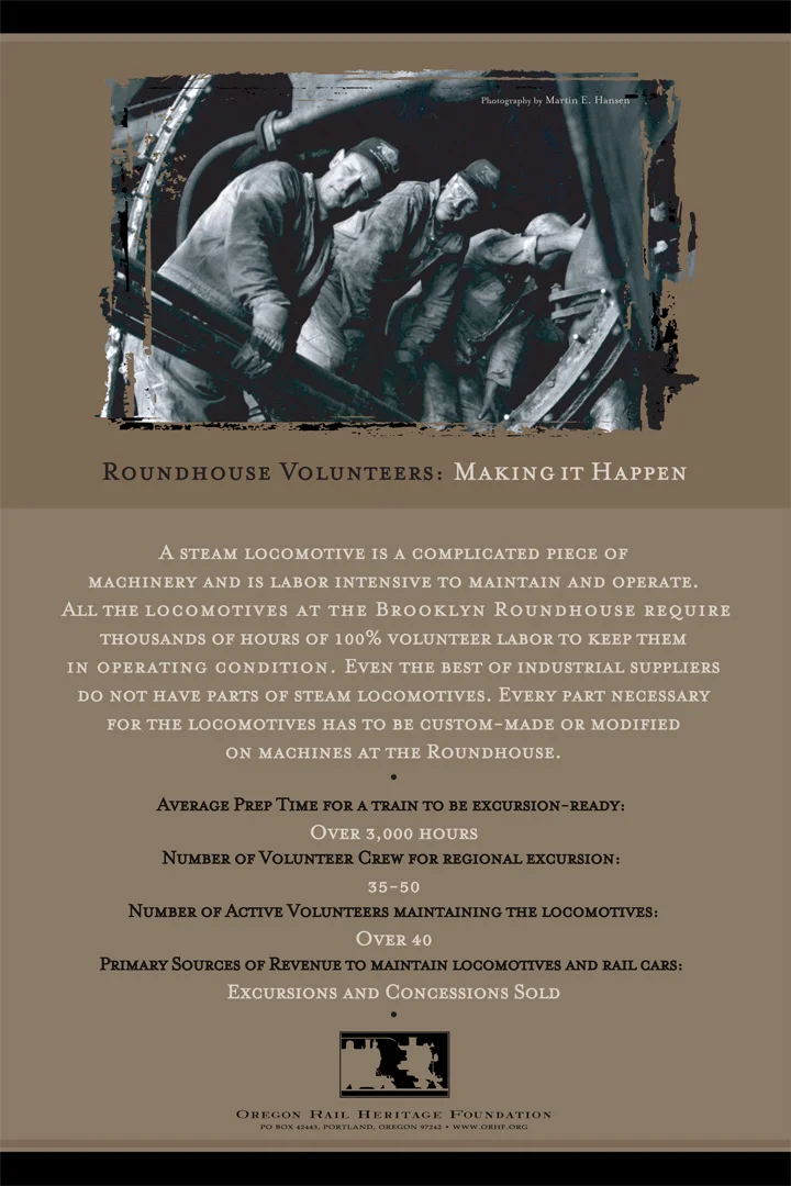 wP6 - volunteers.jpg