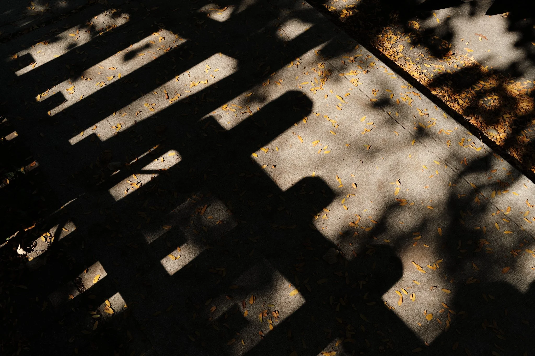 It_Is_With_A_Full_Heart 54.jpg