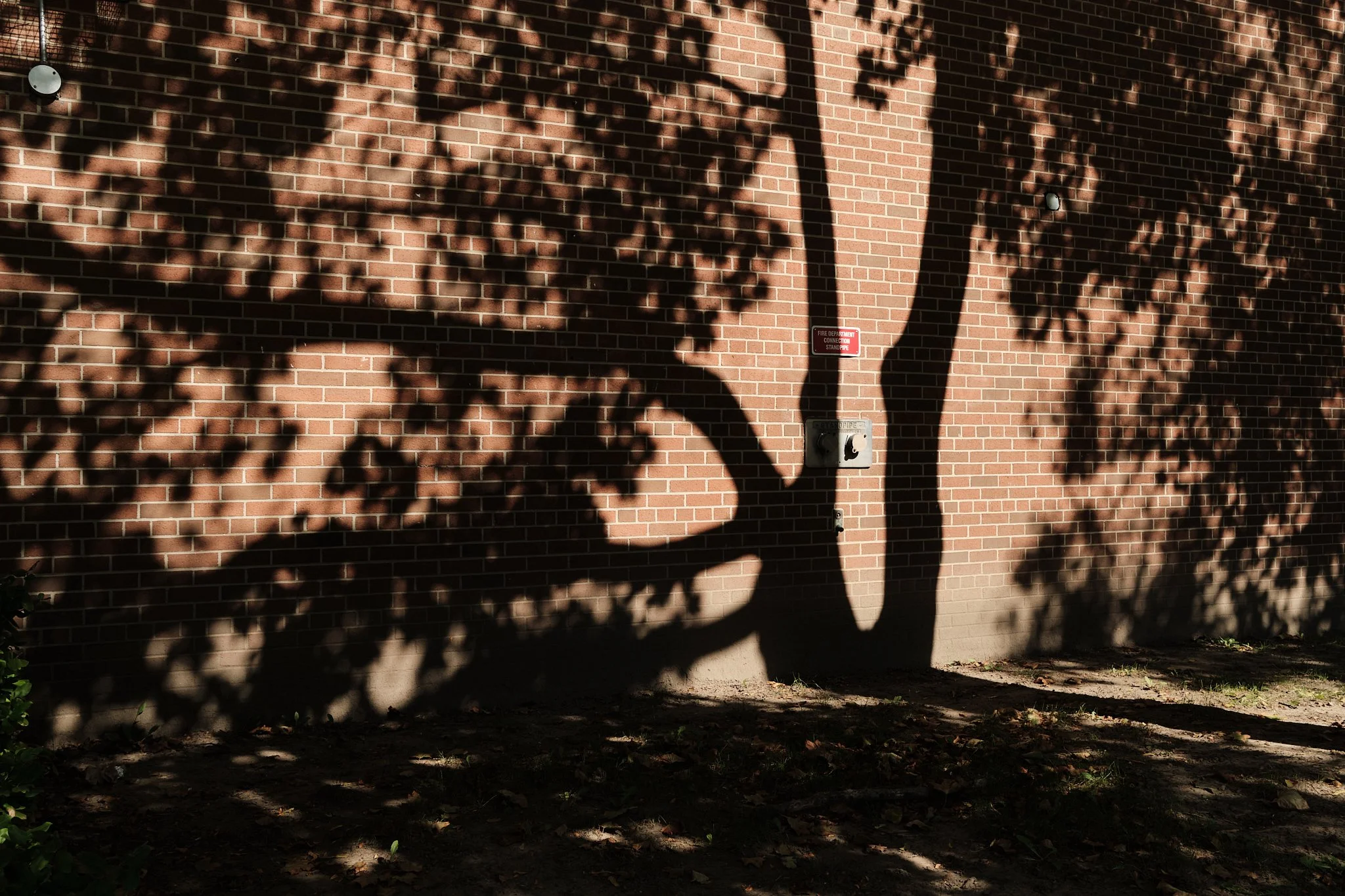 It_Is_With_A_Full_Heart 55.jpg