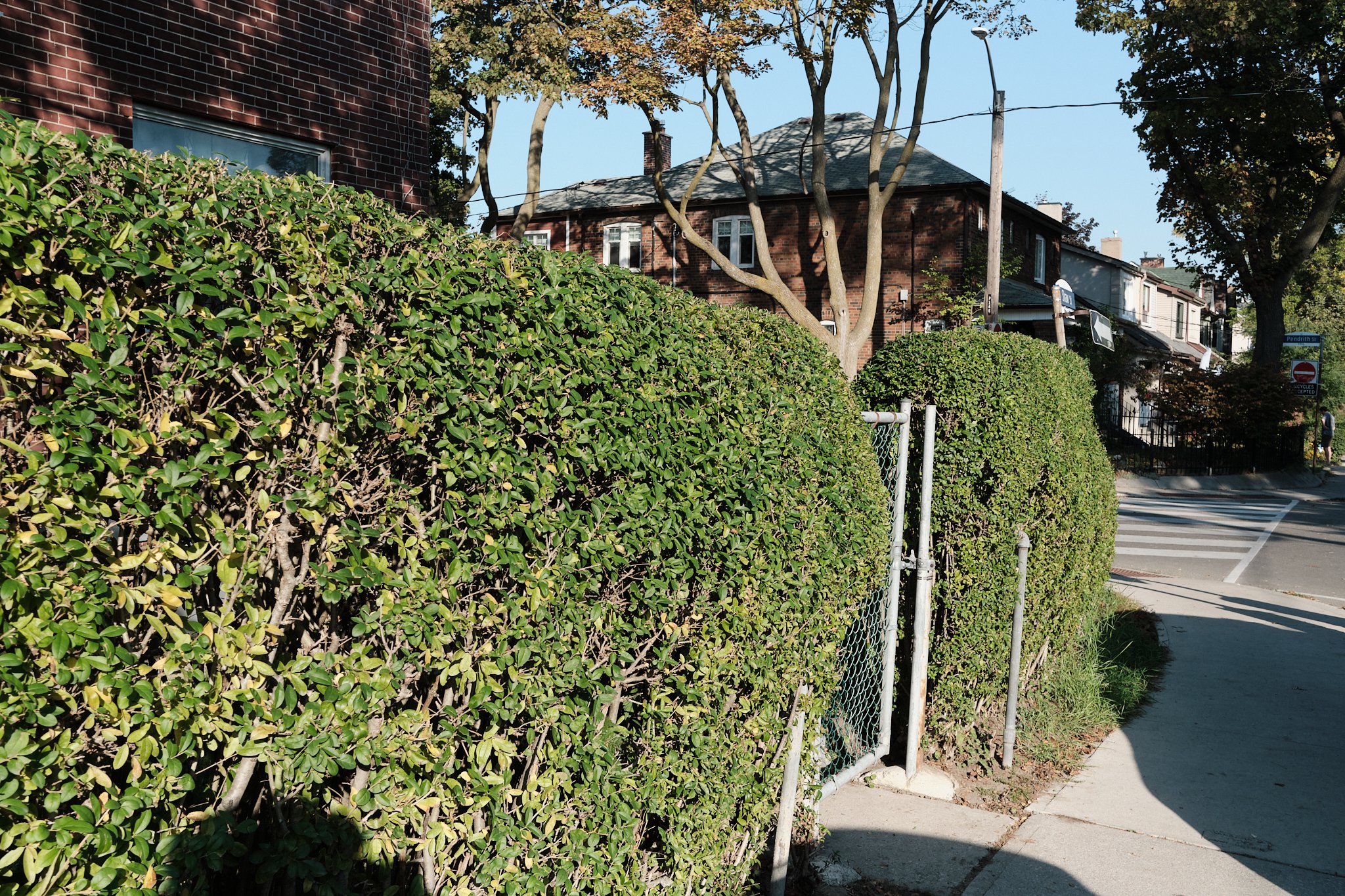 It_Is_With_A_Full_Heart 61.jpg