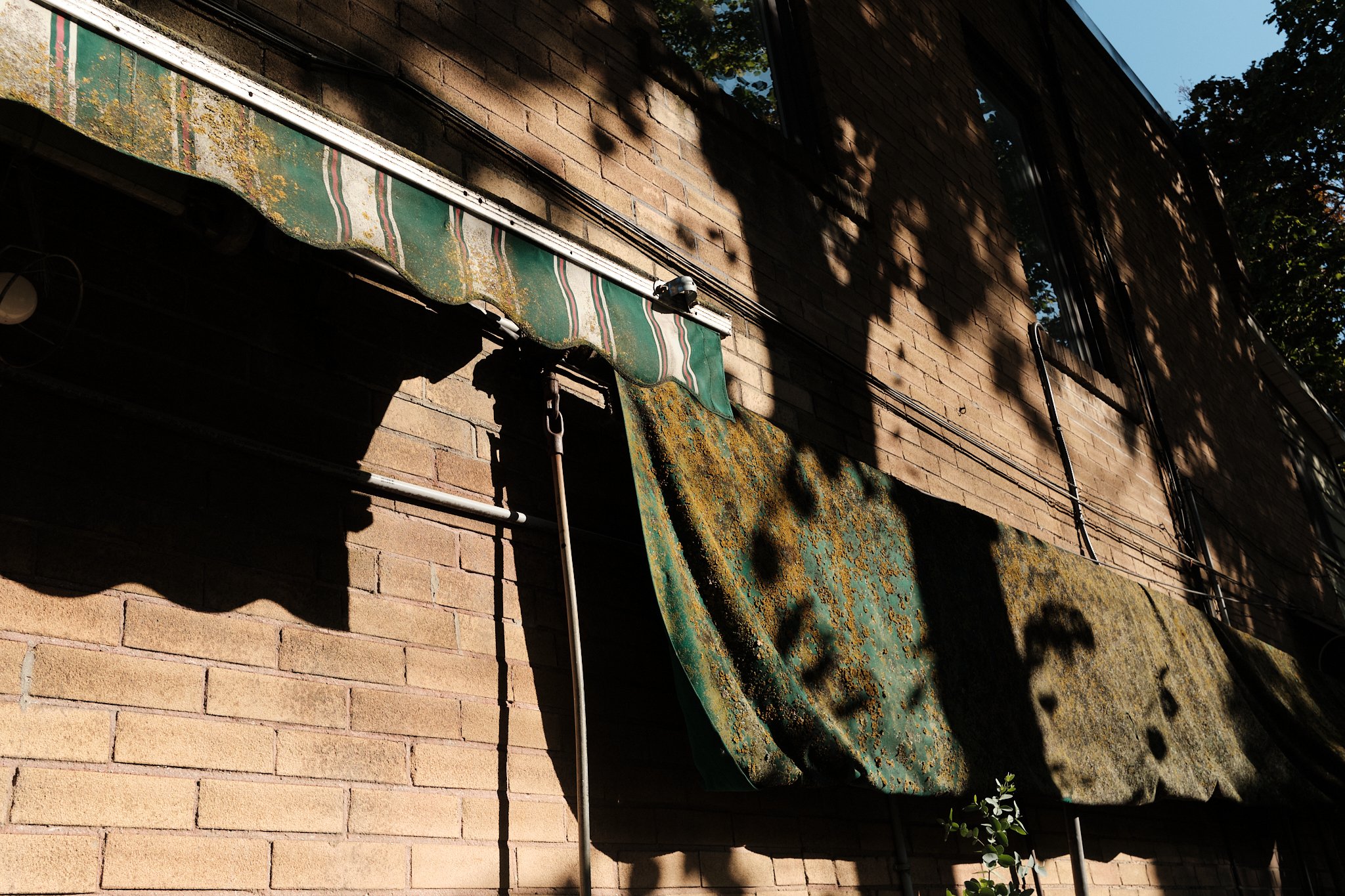 It_Is_With_A_Full_Heart 78.jpg