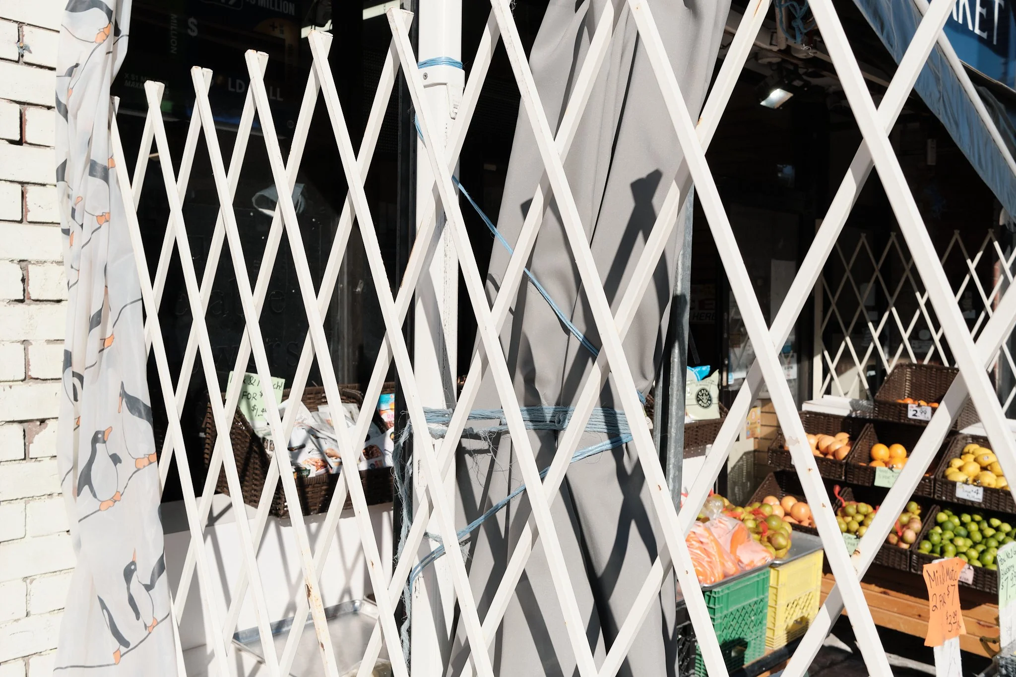 Toronto_Winter_Blizzards_25:26 44.jpg