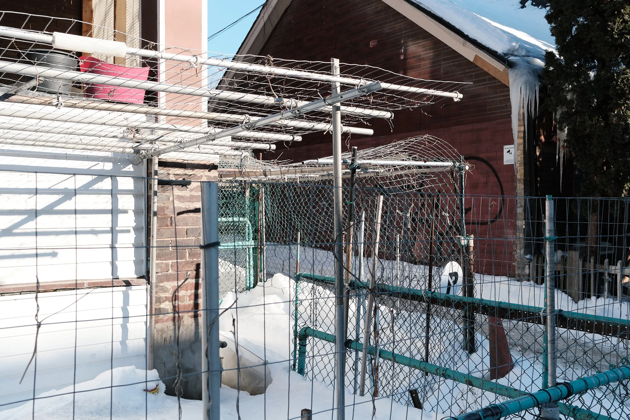 Toronto_Winter_Blizzards_25:26 63.jpg