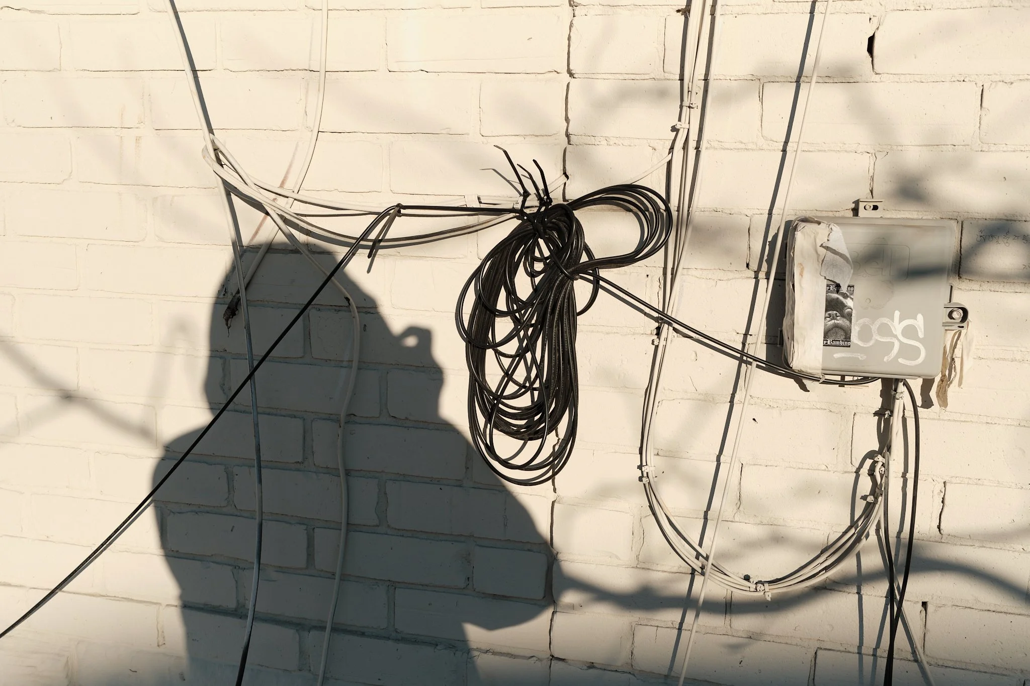 Toronto_Winter_Blizzards_25:26 65.jpg