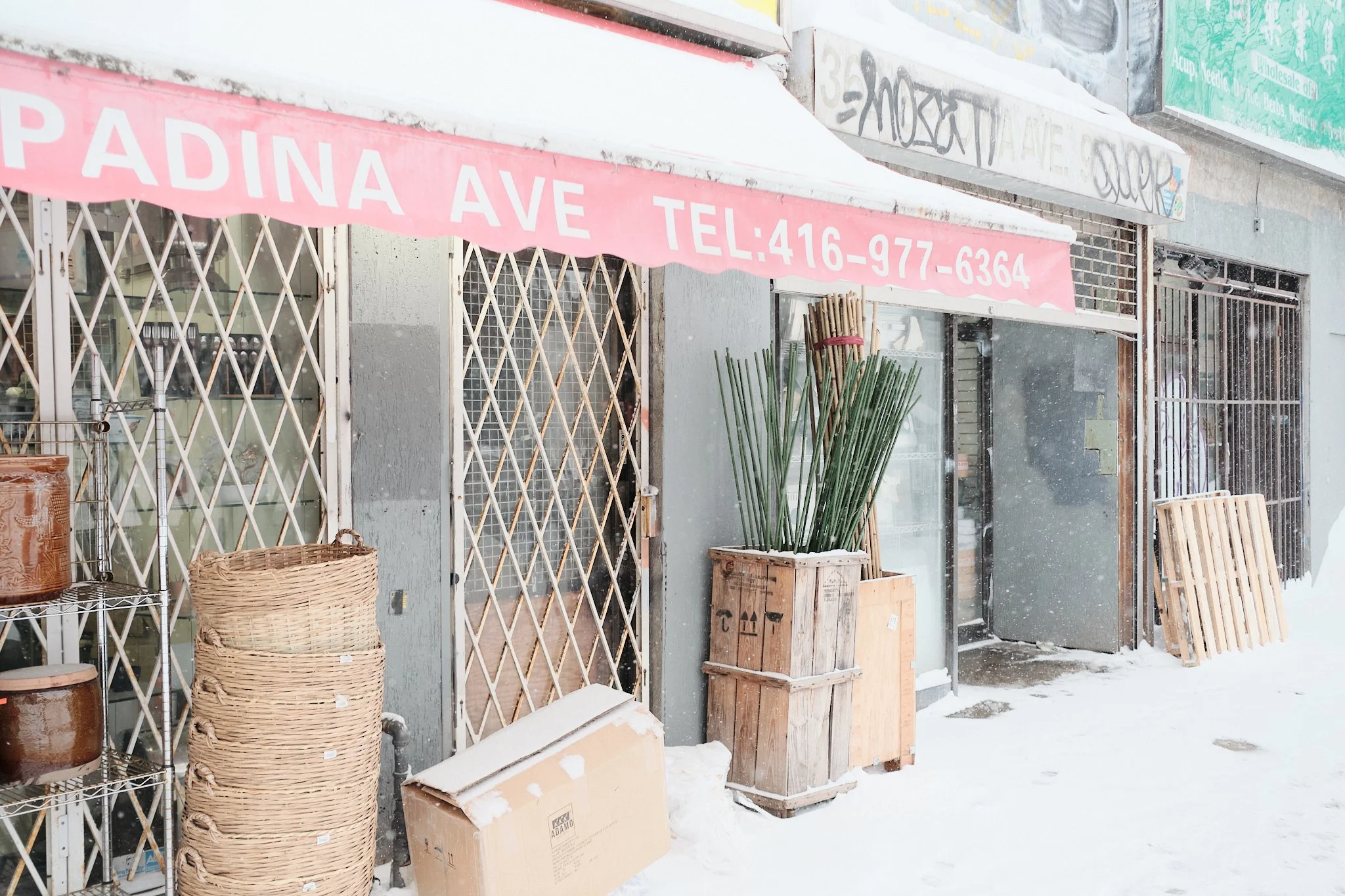 Toronto_Winter_Blizzards_25:26 3.jpg