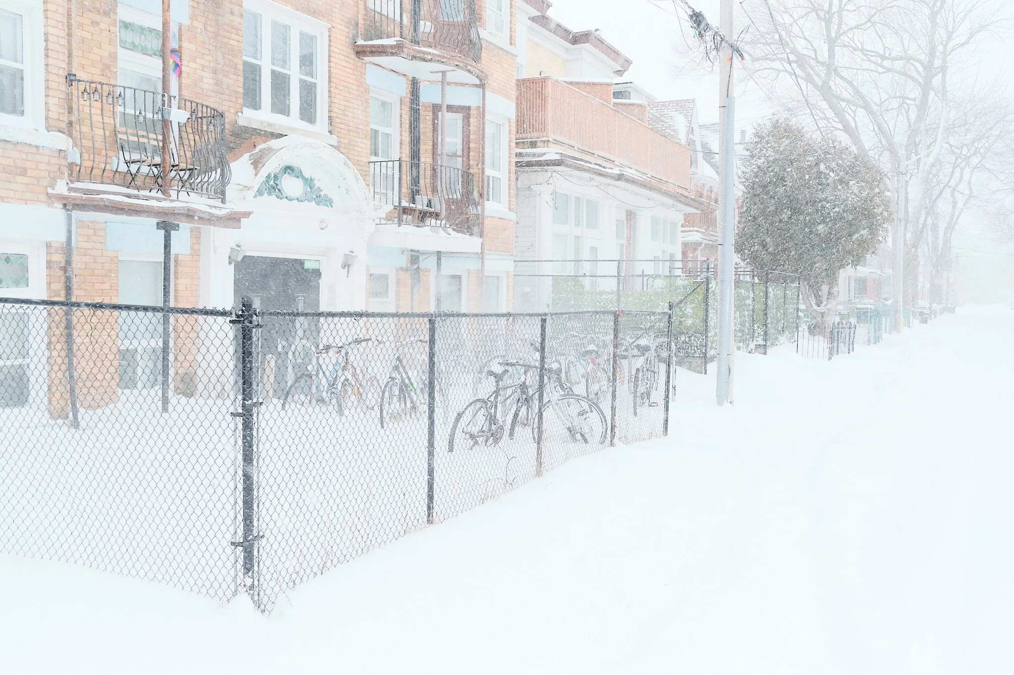 Toronto_Winter_Blizzards_25:26 14.jpg