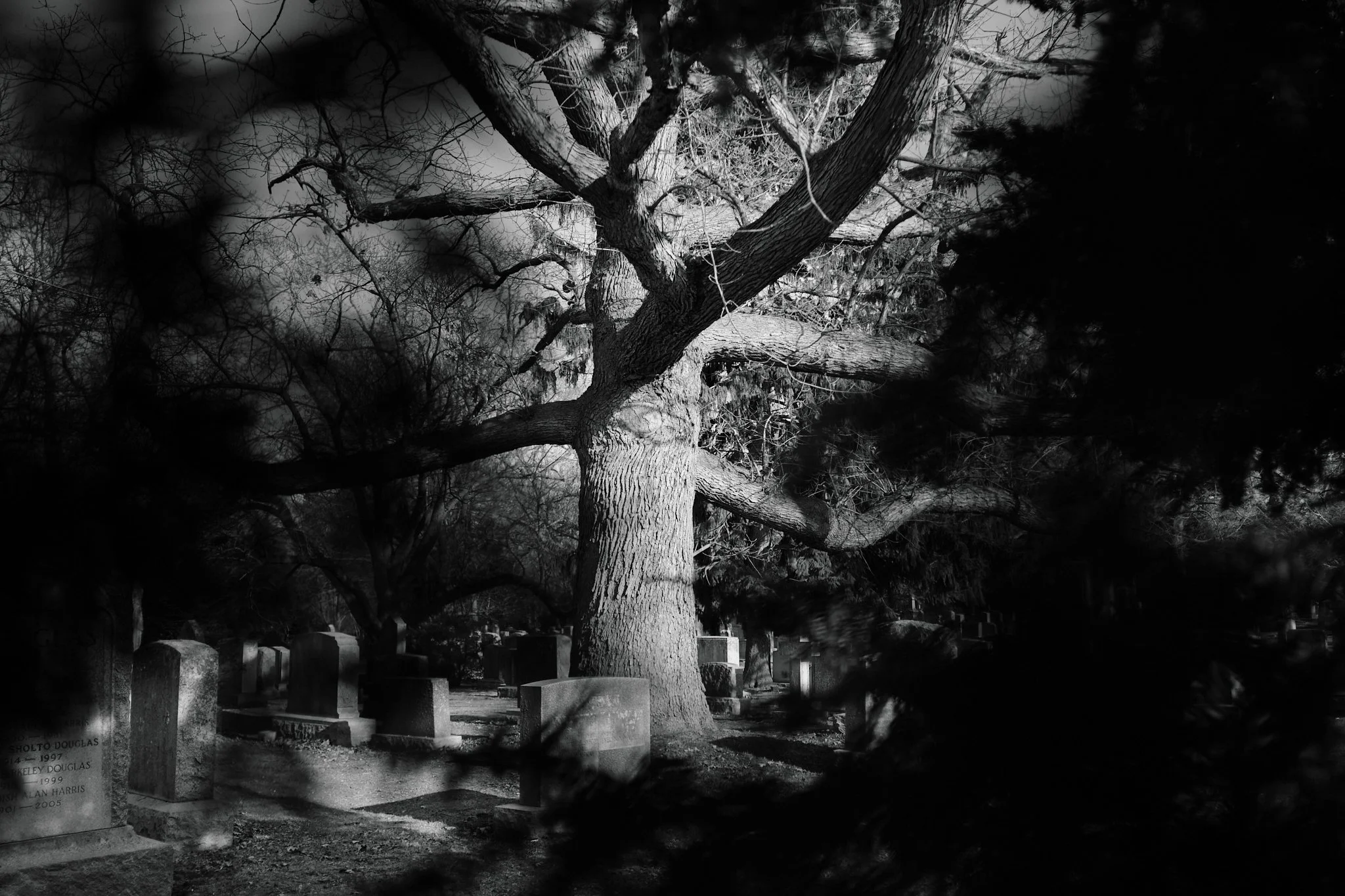 Cemetery_April_2026 11.jpg