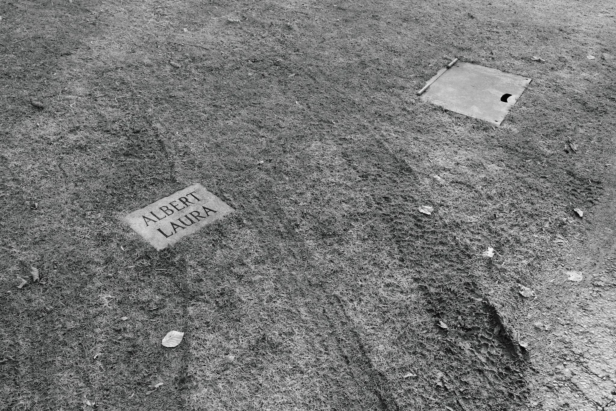 Cemetery_April_2026 12.jpg