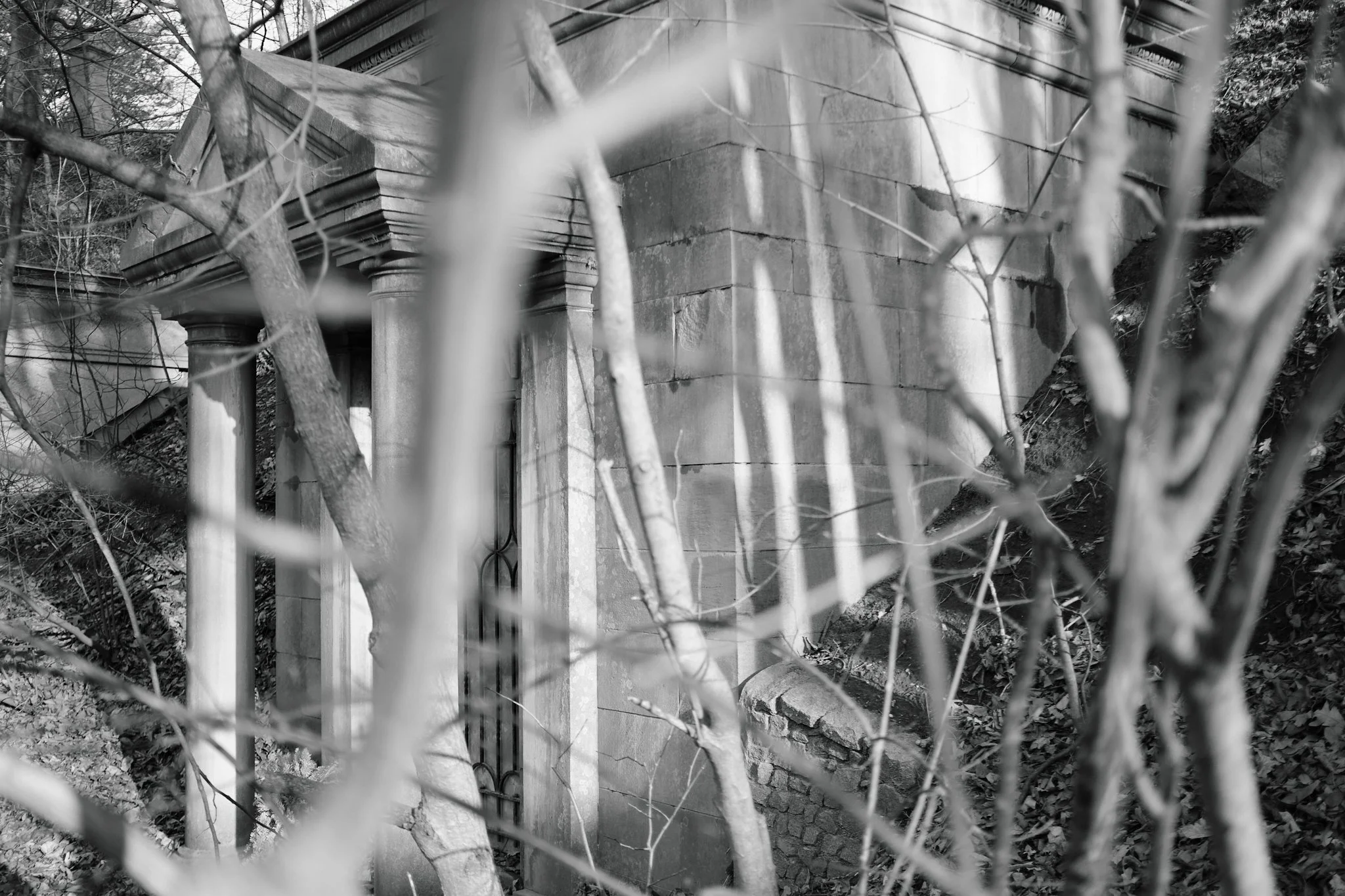 Cemetery_April_2026 14.jpg
