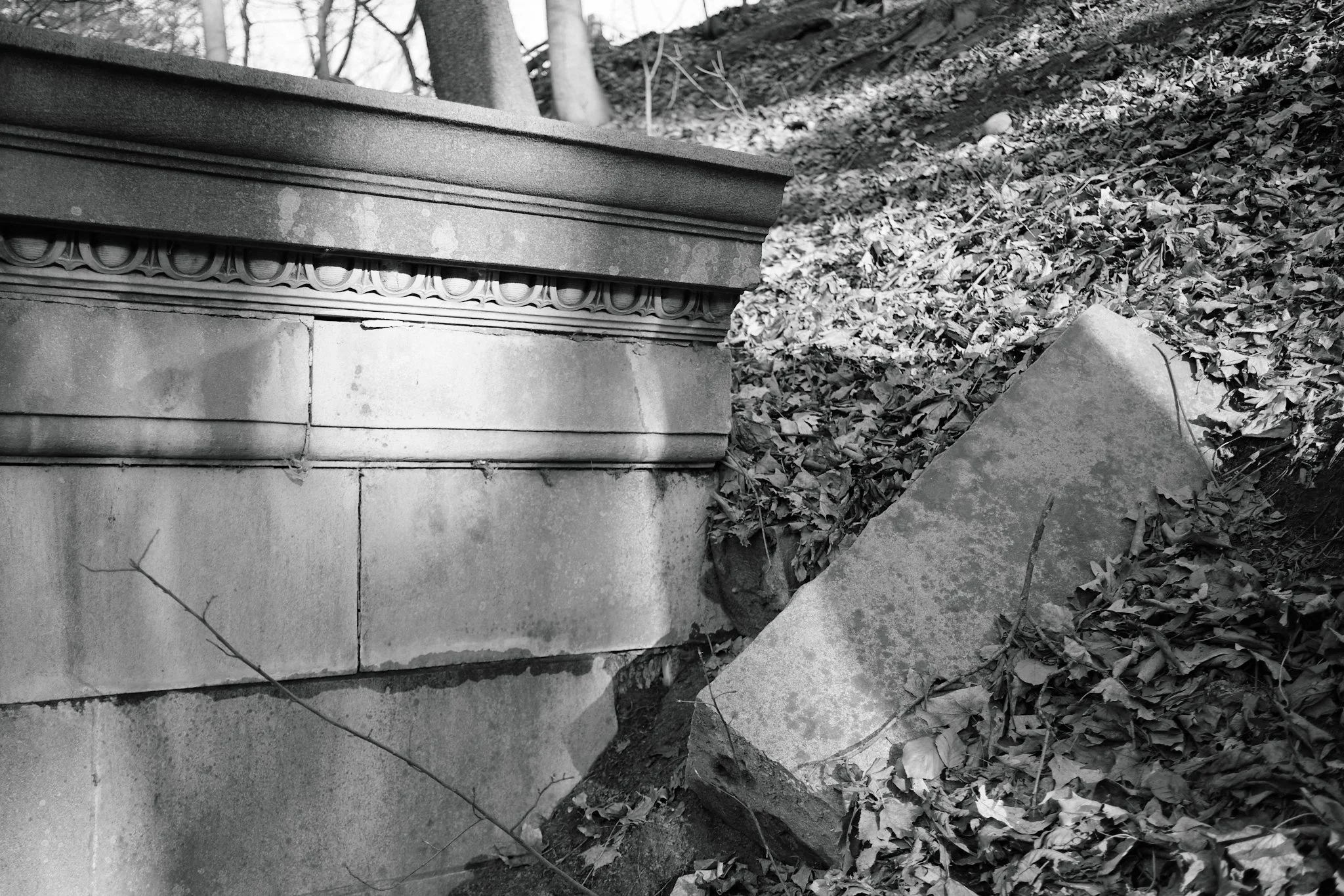 Cemetery_April_2026 15.jpg
