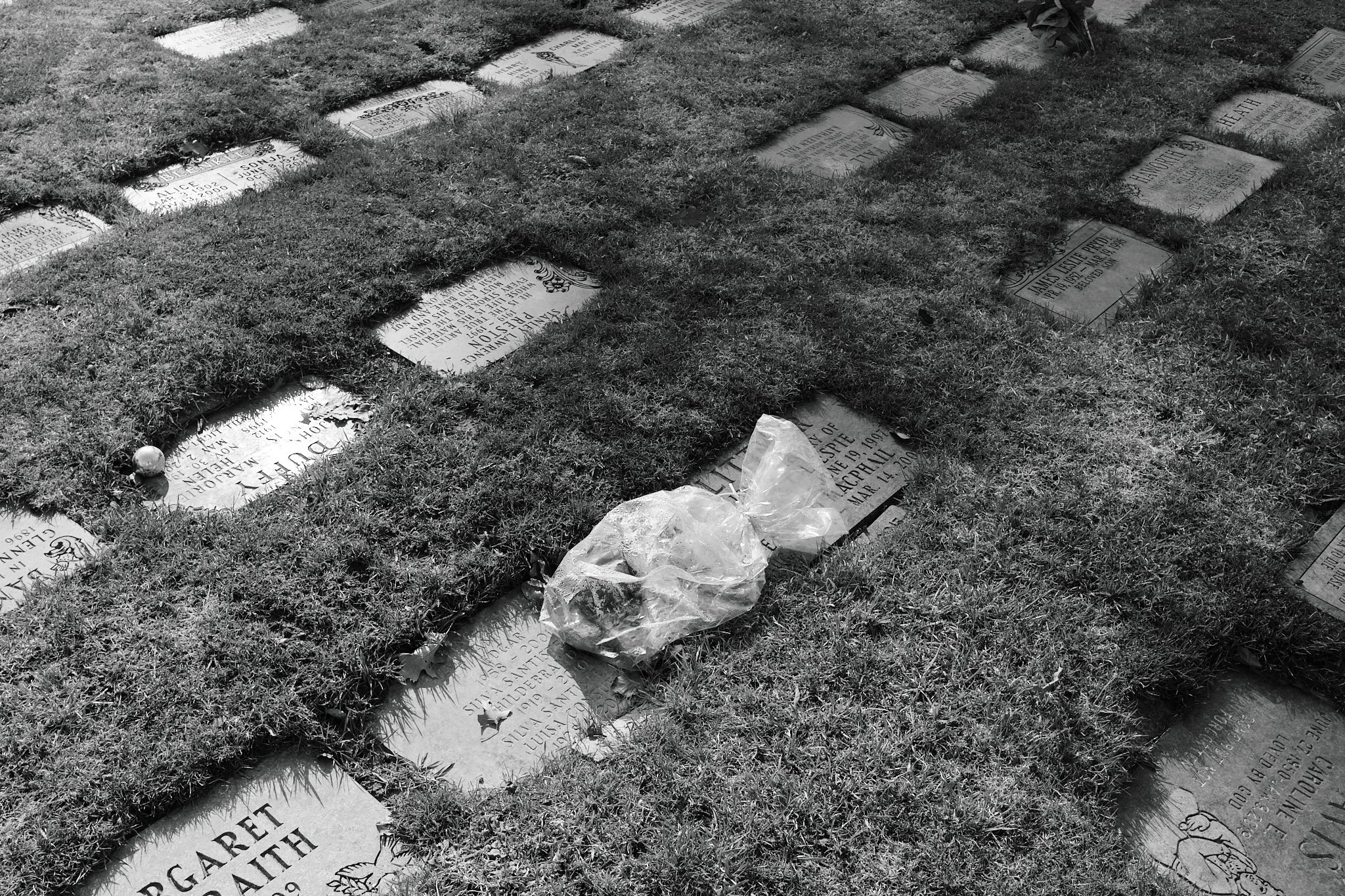 Cemetery_April_2026.jpg