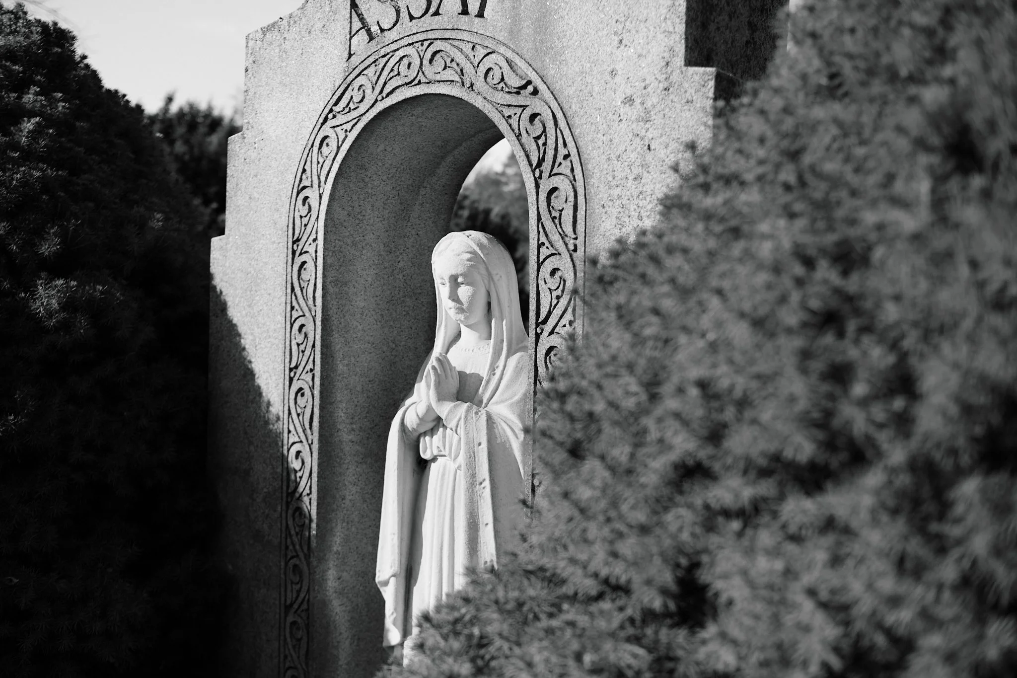 Cemetery_April_2026 3.jpg
