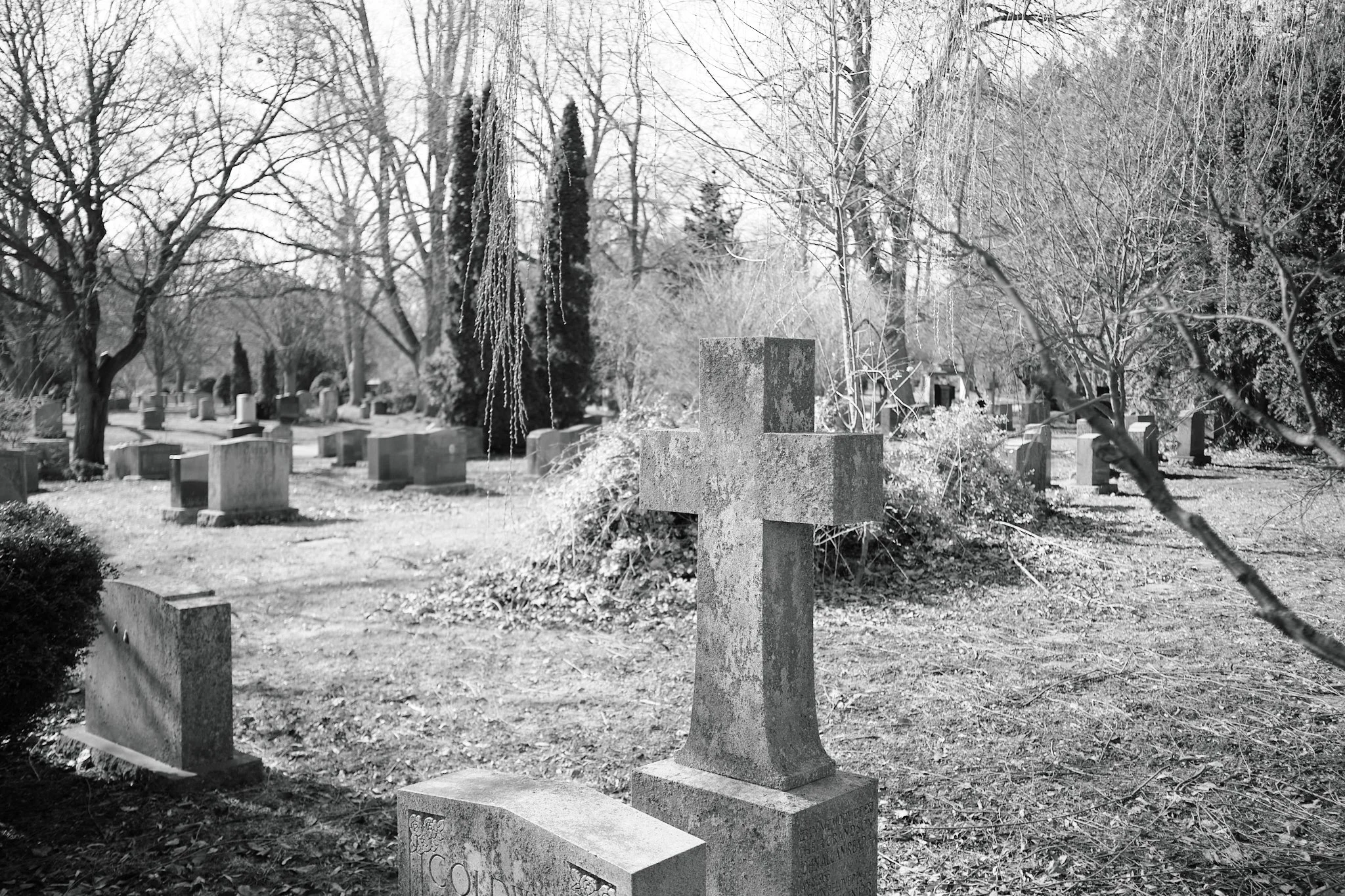 Cemetery_April_2026 4.jpg