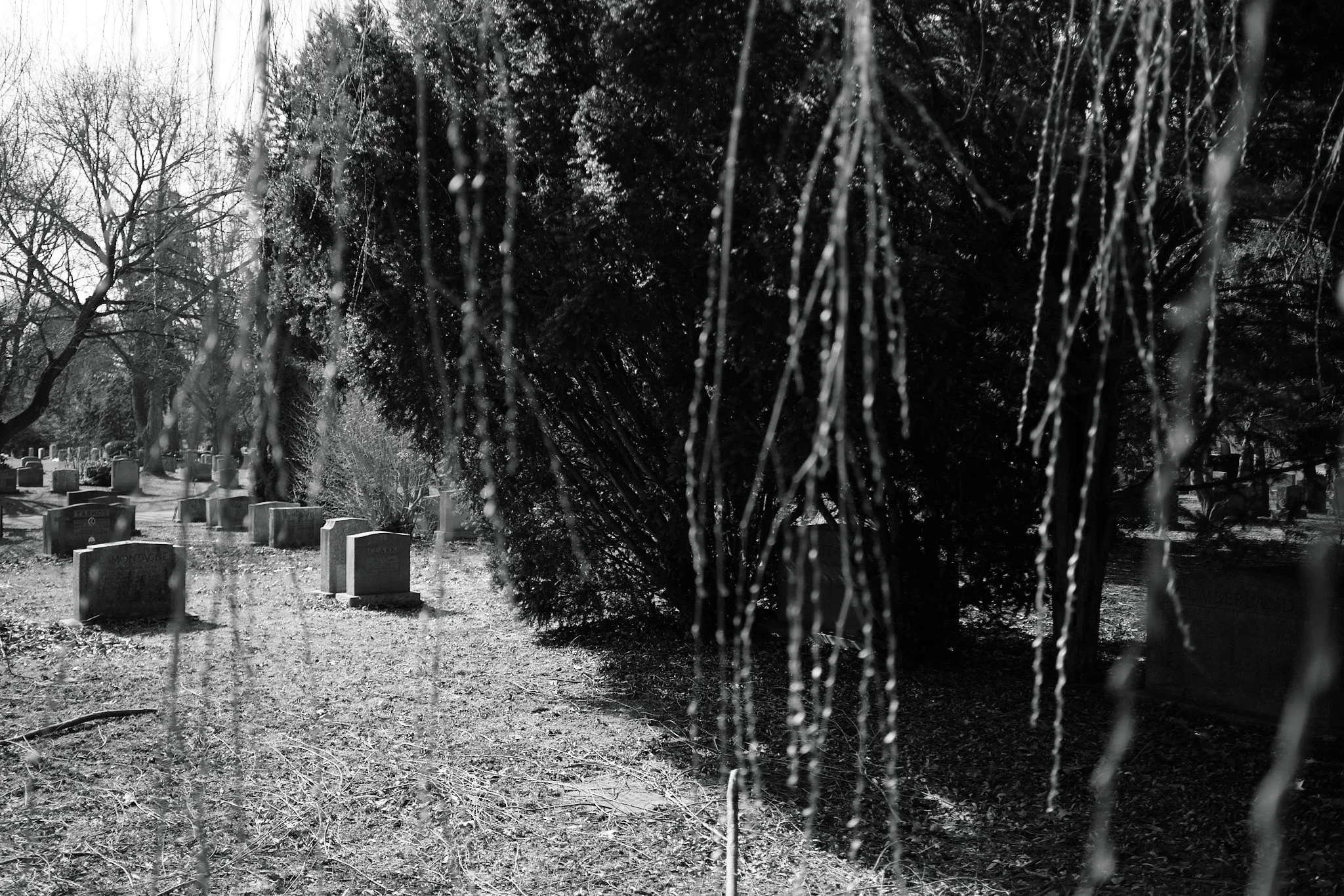 Cemetery_April_2026 6.jpg