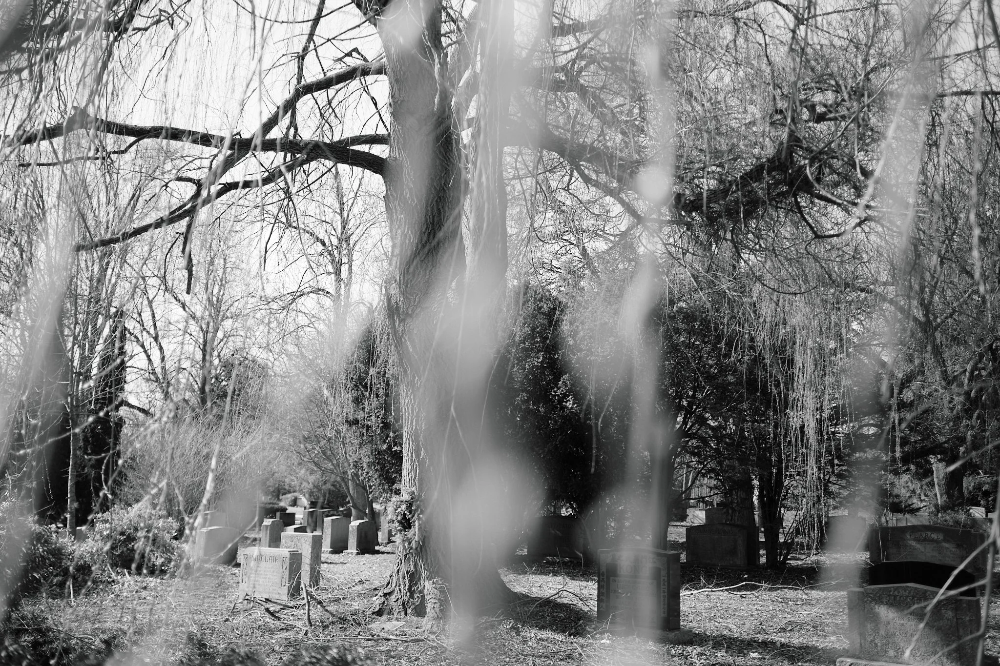 Cemetery_April_2026 8.jpg