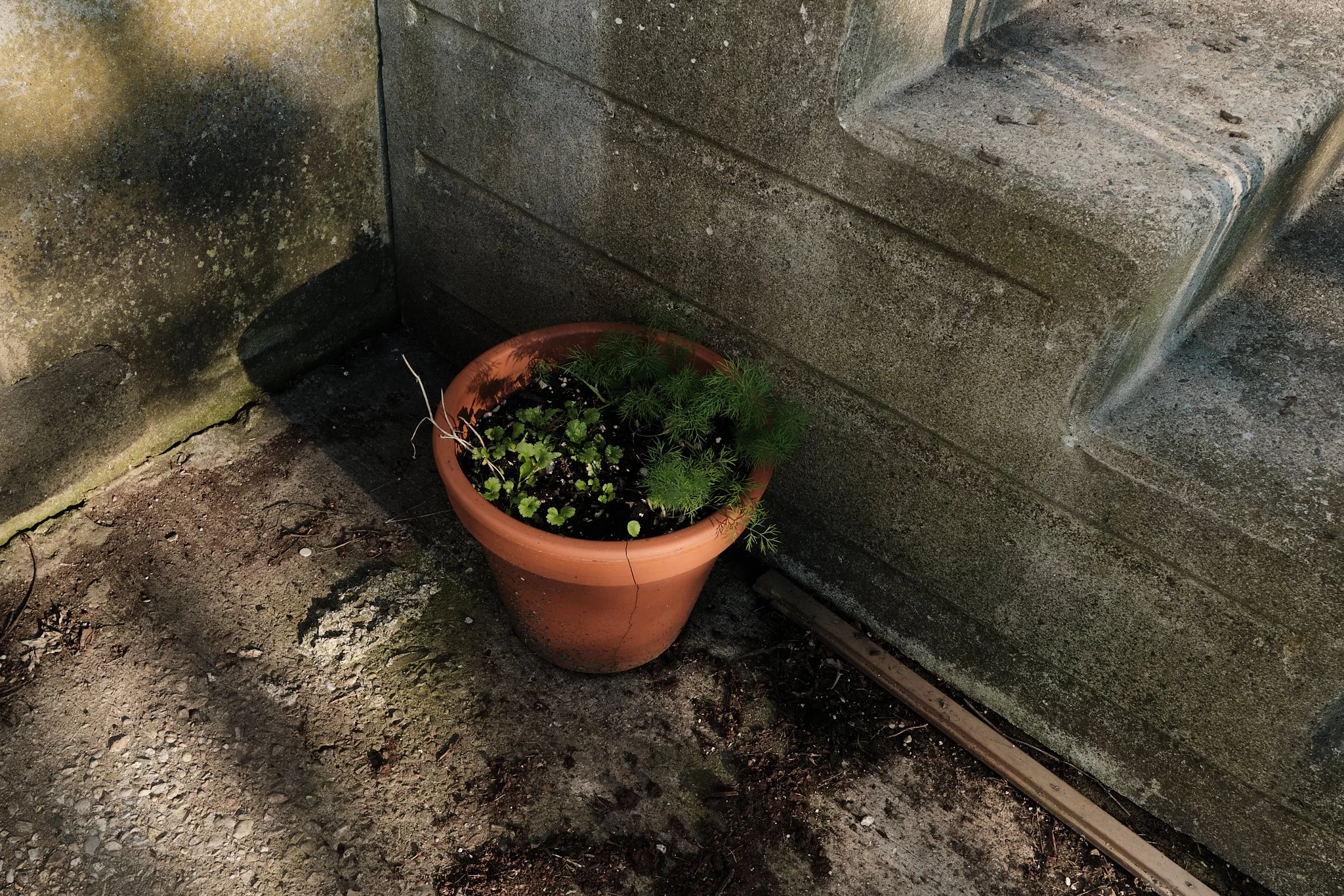 Untitled_Unto_This_House_07C.jpg