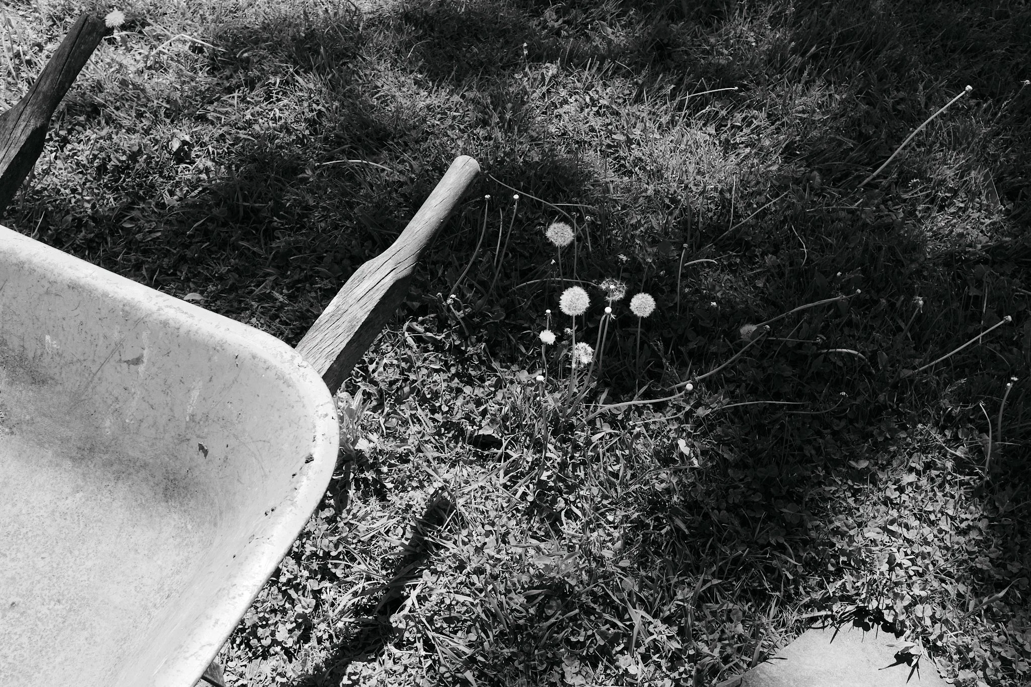 Untitled_Unto_This_House_03BW.jpg