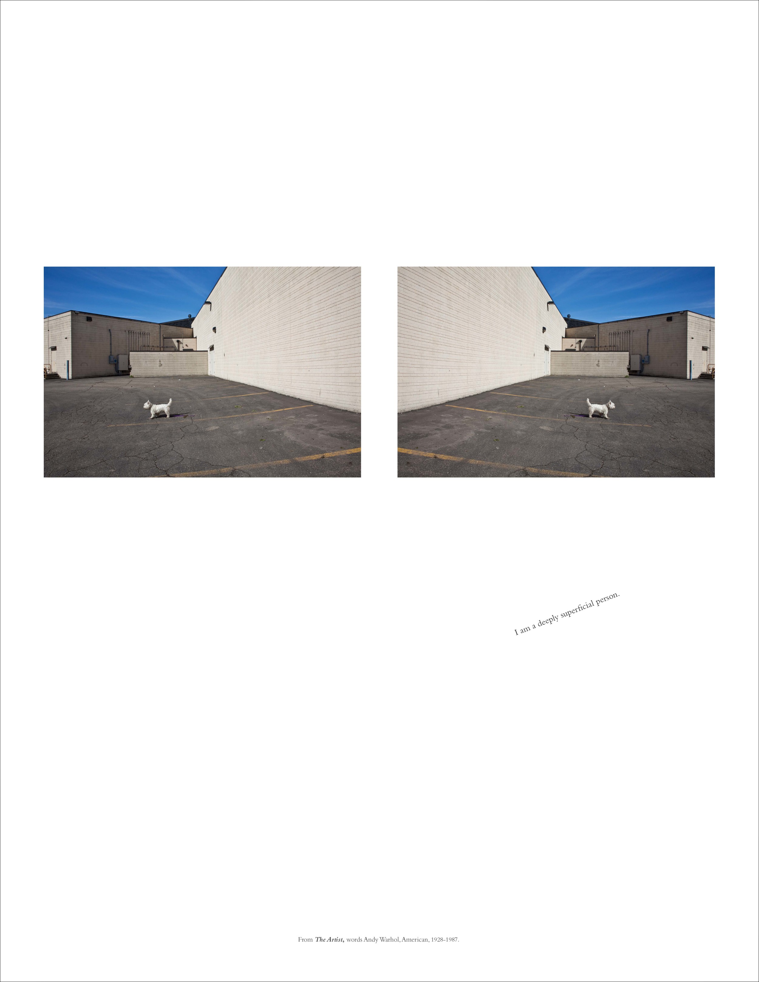 the artist, title page_Page_5.jpg