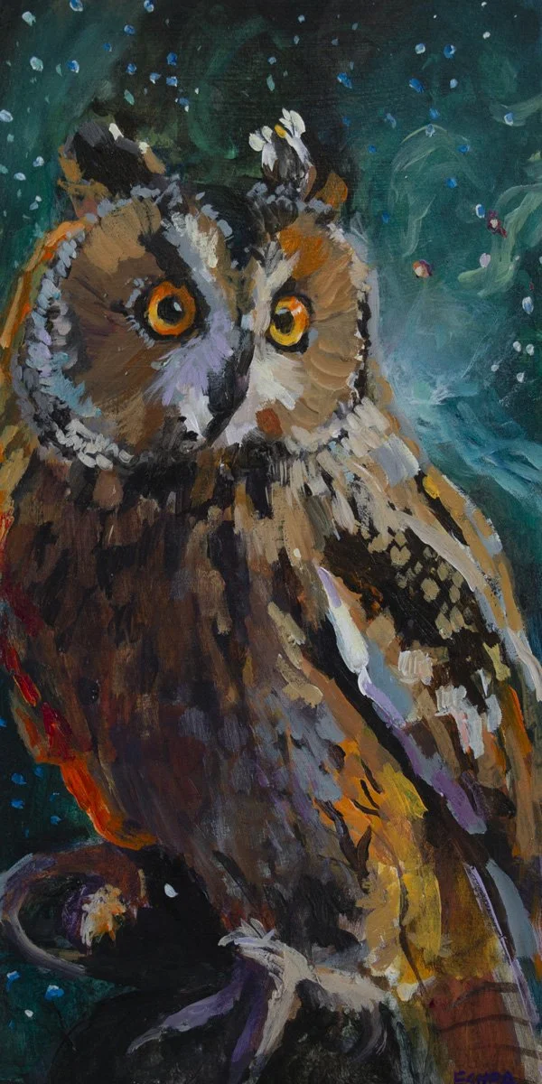 Nebulous Owl