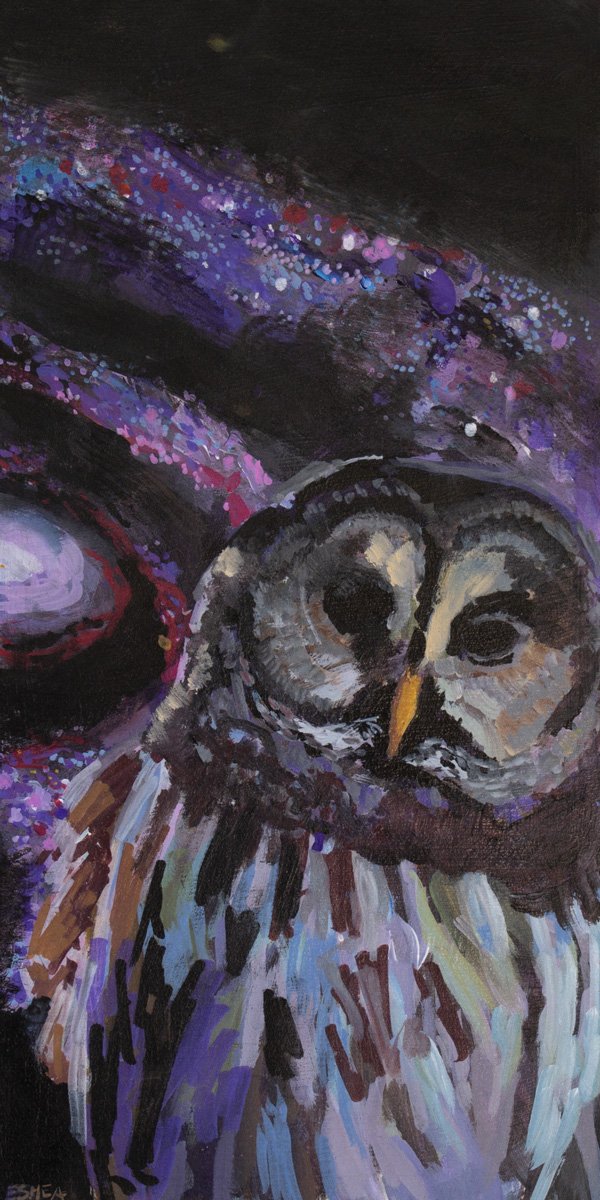 Owl and Messier 81
