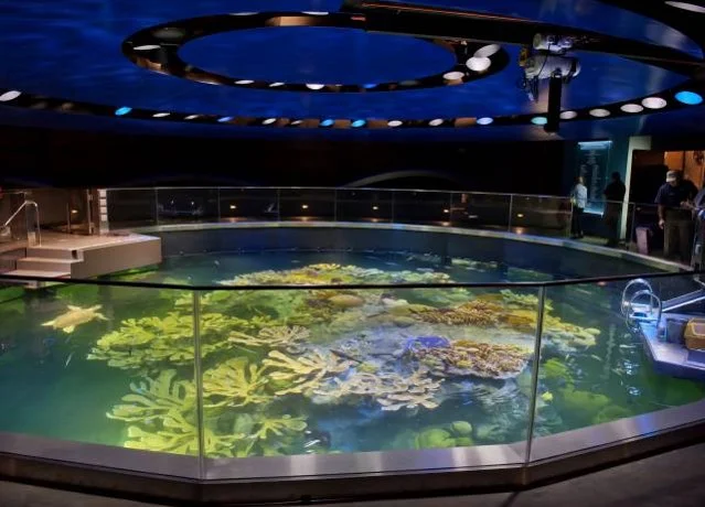 New England Aquarium