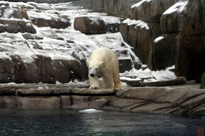 Pittsburgh Zoo