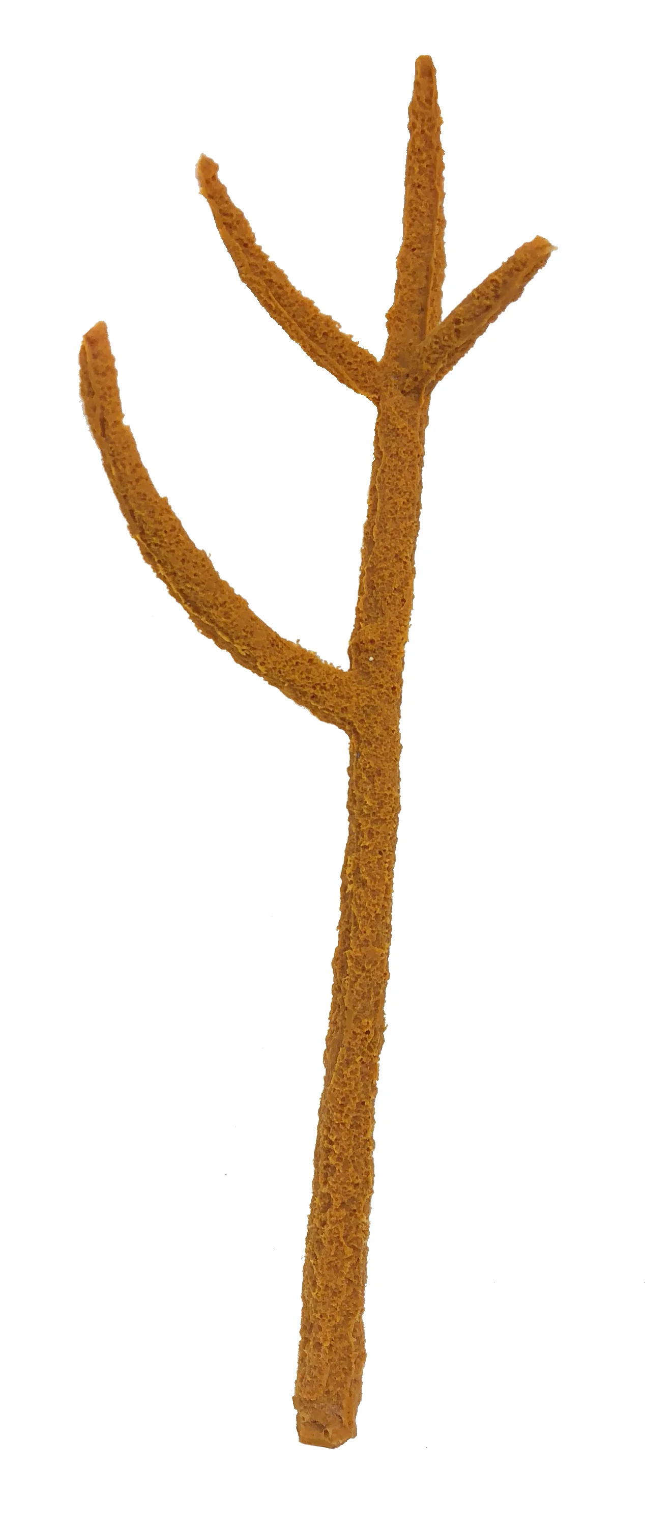 28190.JPG