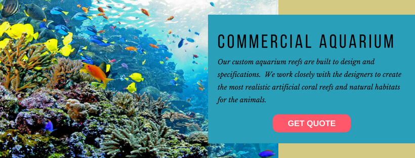 Commercial Aquarium Banner.png