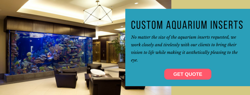 Custom Aquarium Inserts.png