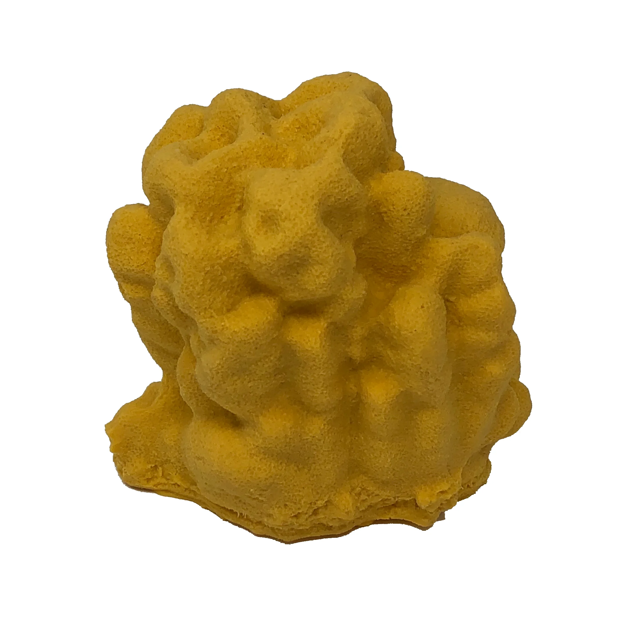 Porites lobata - #17200