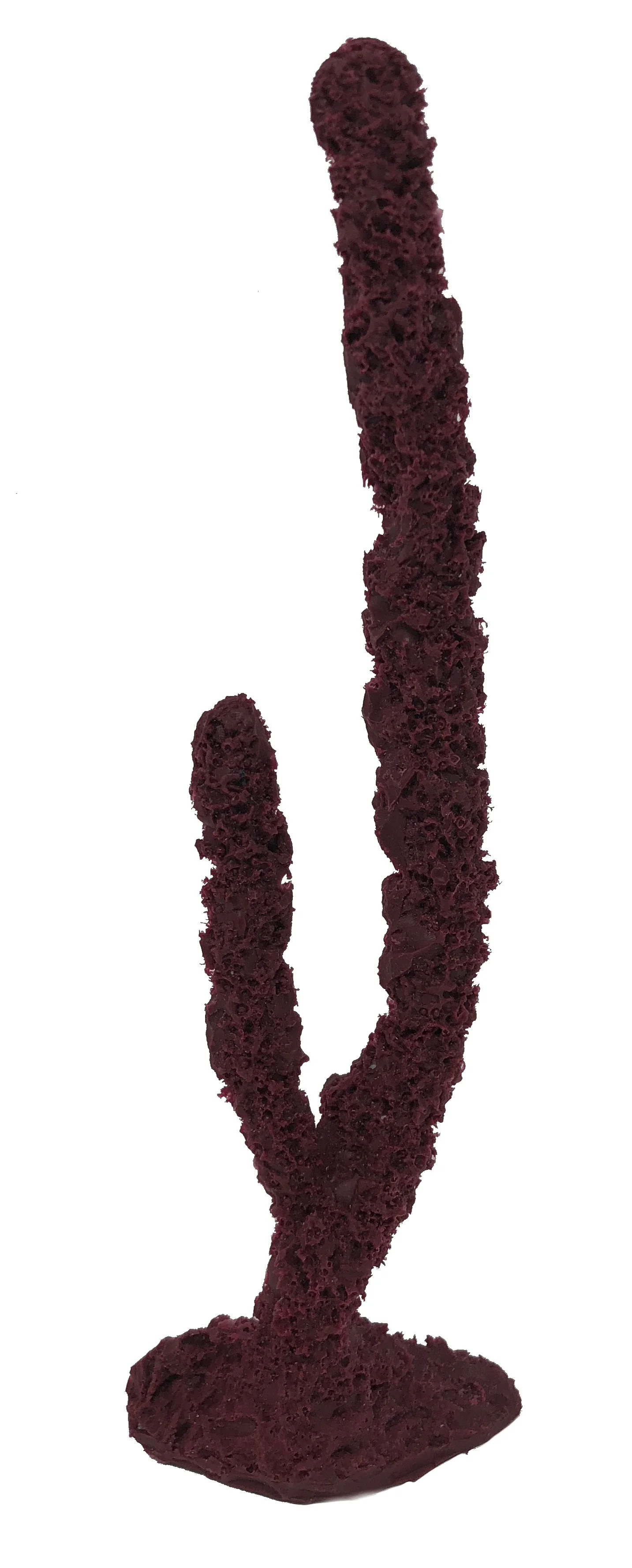 Tree Sponge - #29500