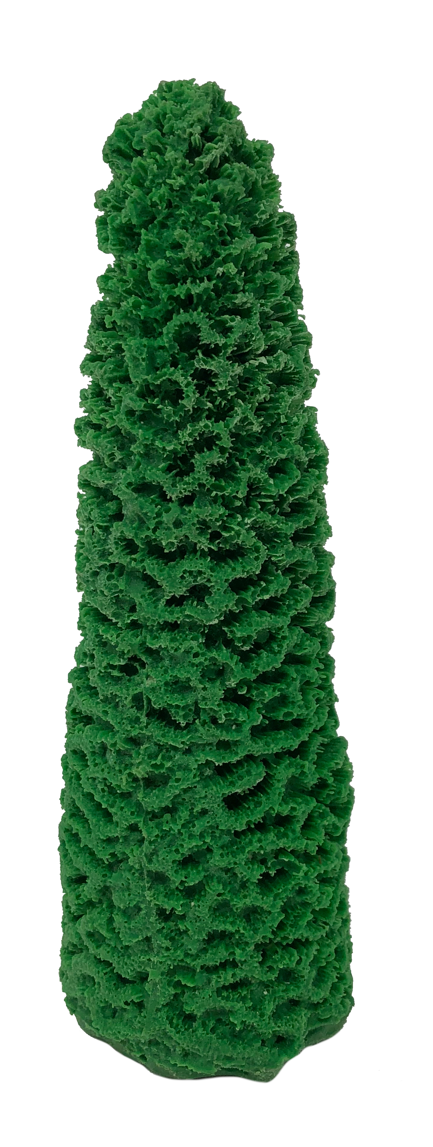 Dendrogyra cylindrus - #33400