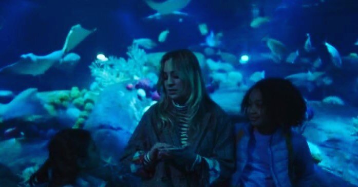 Love the scenes from @the_flightattendant that showcased a few artificial coral reef tanks that we had designed and constructed at the @nyaquarium
.
.
.
.
.
@kaleycuoco #theflightattendant #nyaquarium #newyorkaquarium #commercialaquarium #aquarium #a