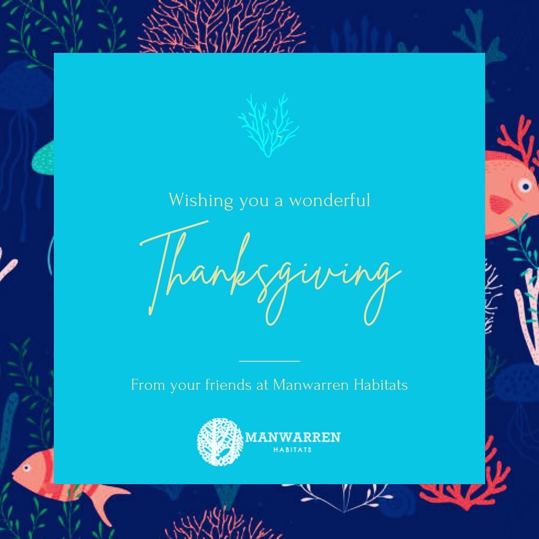 Happy Thanksgiving from our family to yours! 
.
.
.
.
.
#happythanksgiving #happythanksgiving2020 #thanksgiving #thankful #givethanks #aquariumdesigner #aquariumbuilder #artificialcoralreefbuilder #artificialcoral #artificialcoralreef #artificialreef