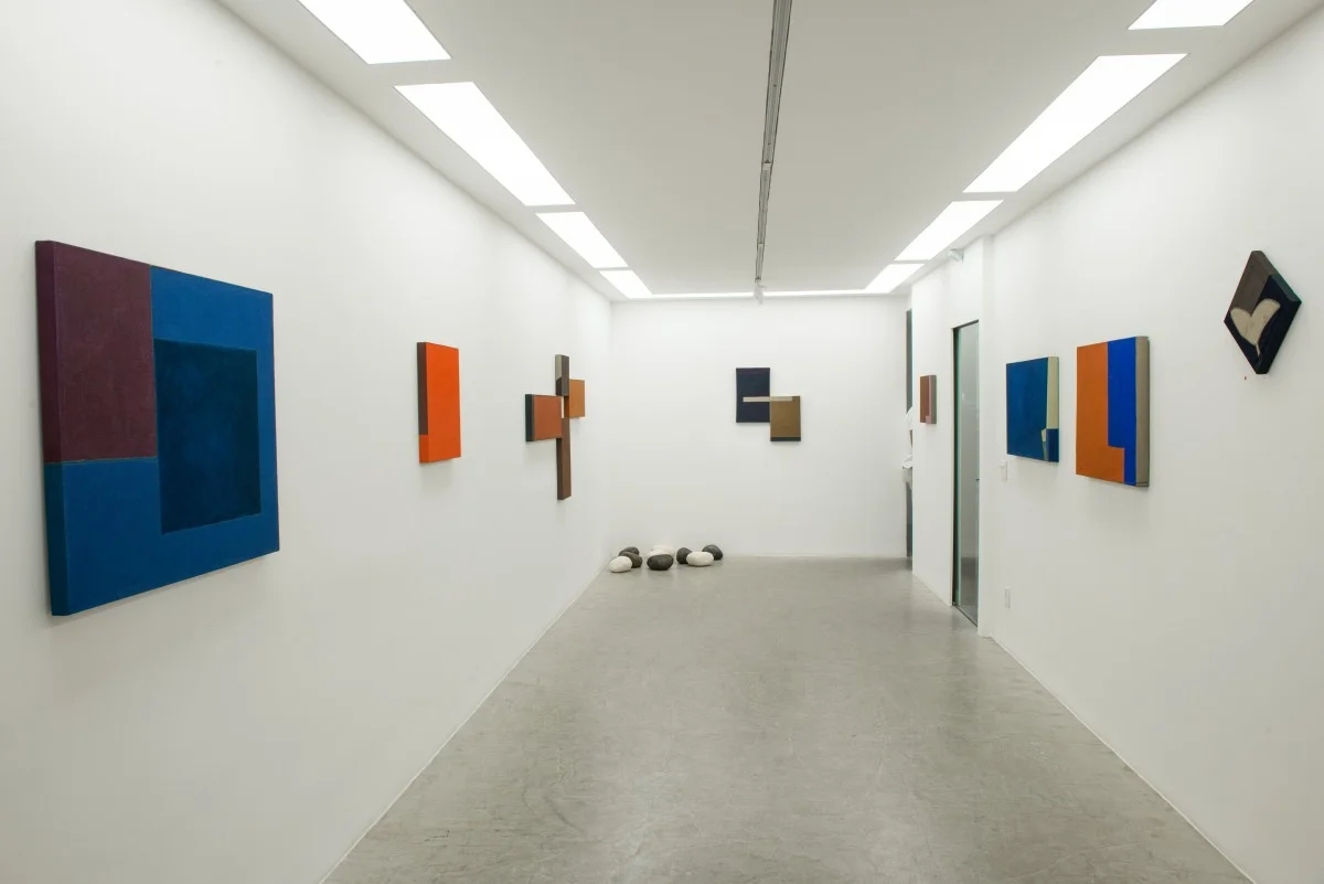 Manfredo de Souzanetto - Organométricos |  27 de jan -7 de mar 2015