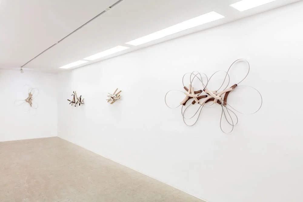 Ana Holck | Imprevistos | 21 mai - 17 jul 2026