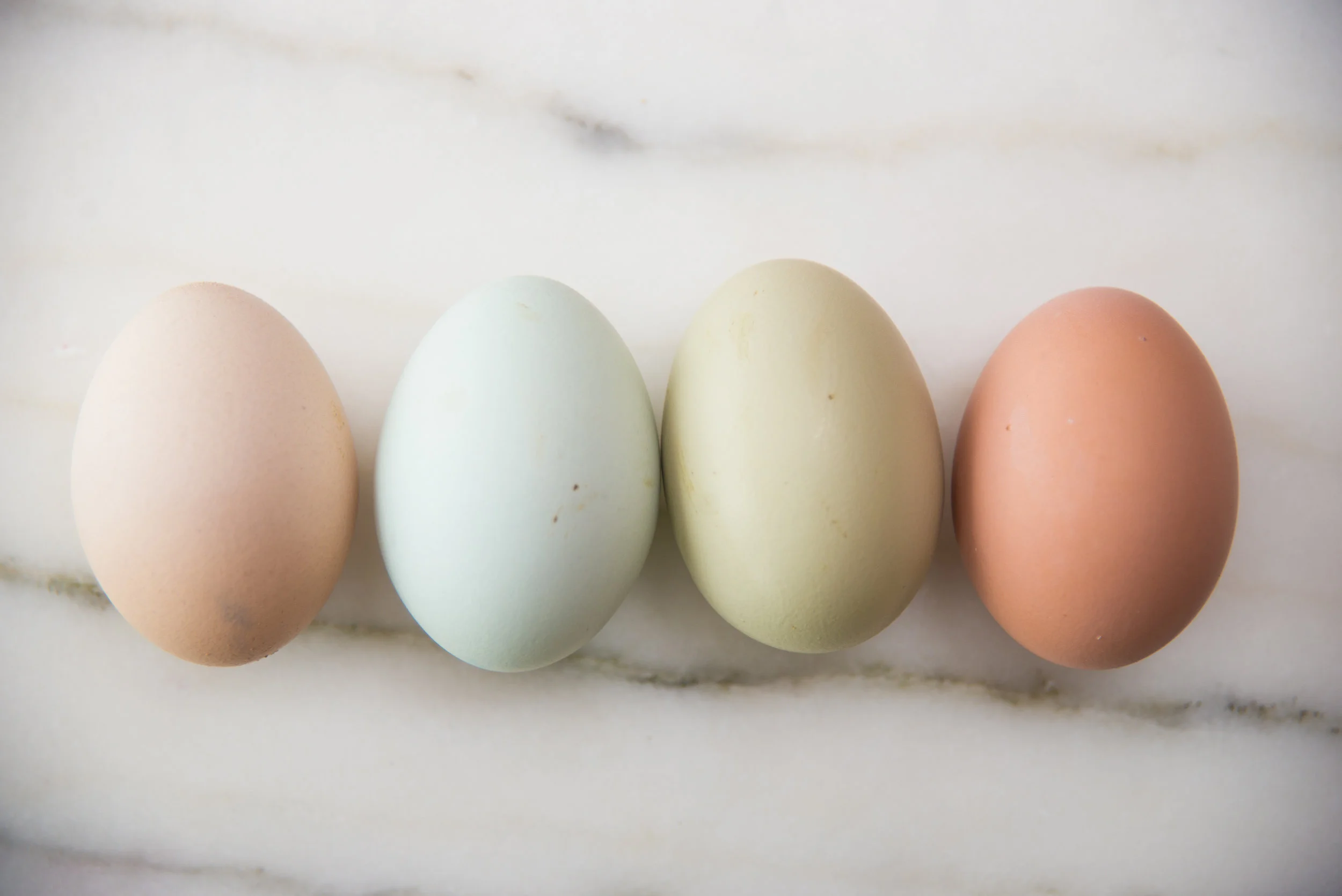Colorful Egg Print