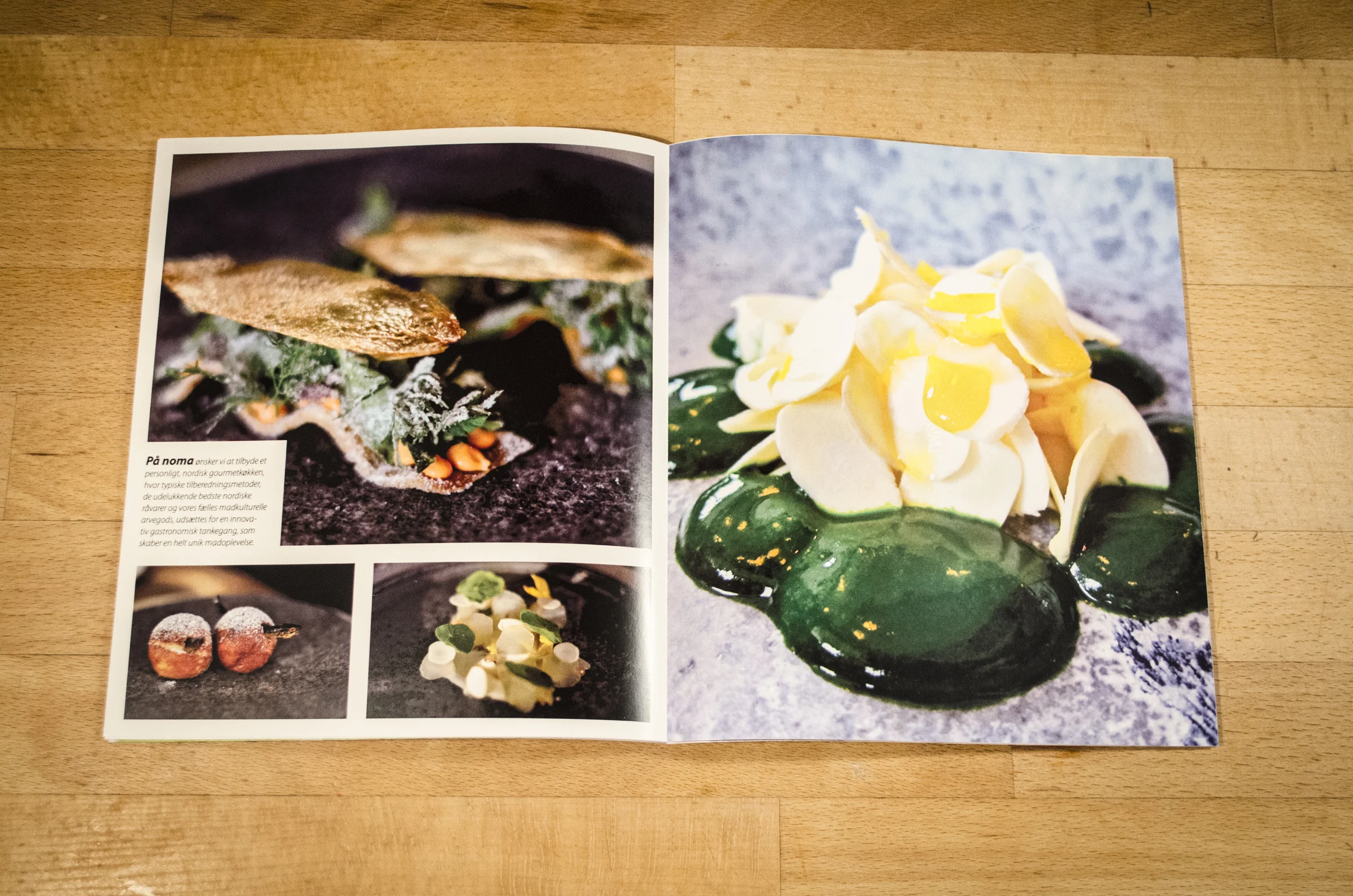 noma brochure 017.jpg