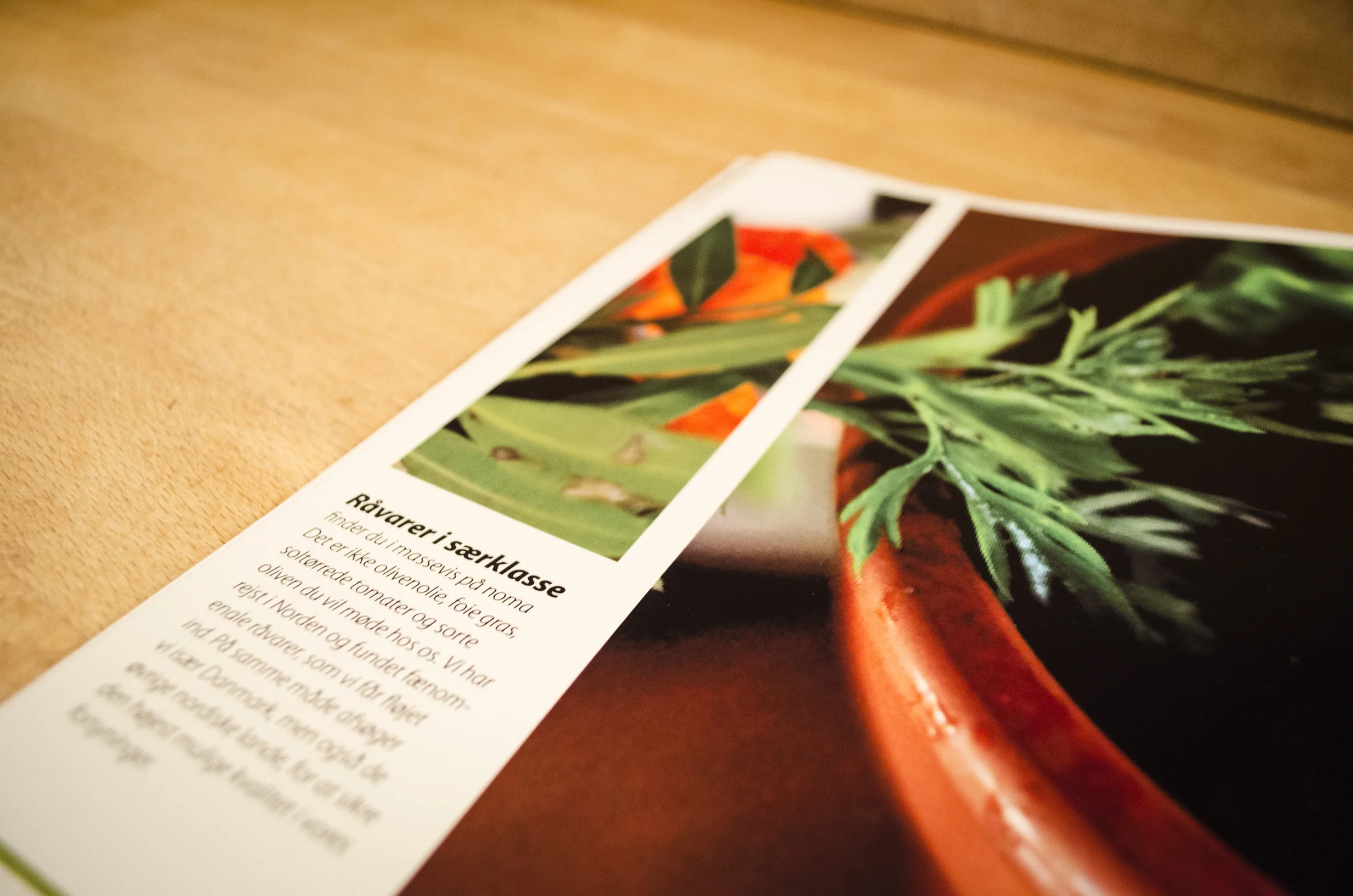 noma brochure 073.jpg