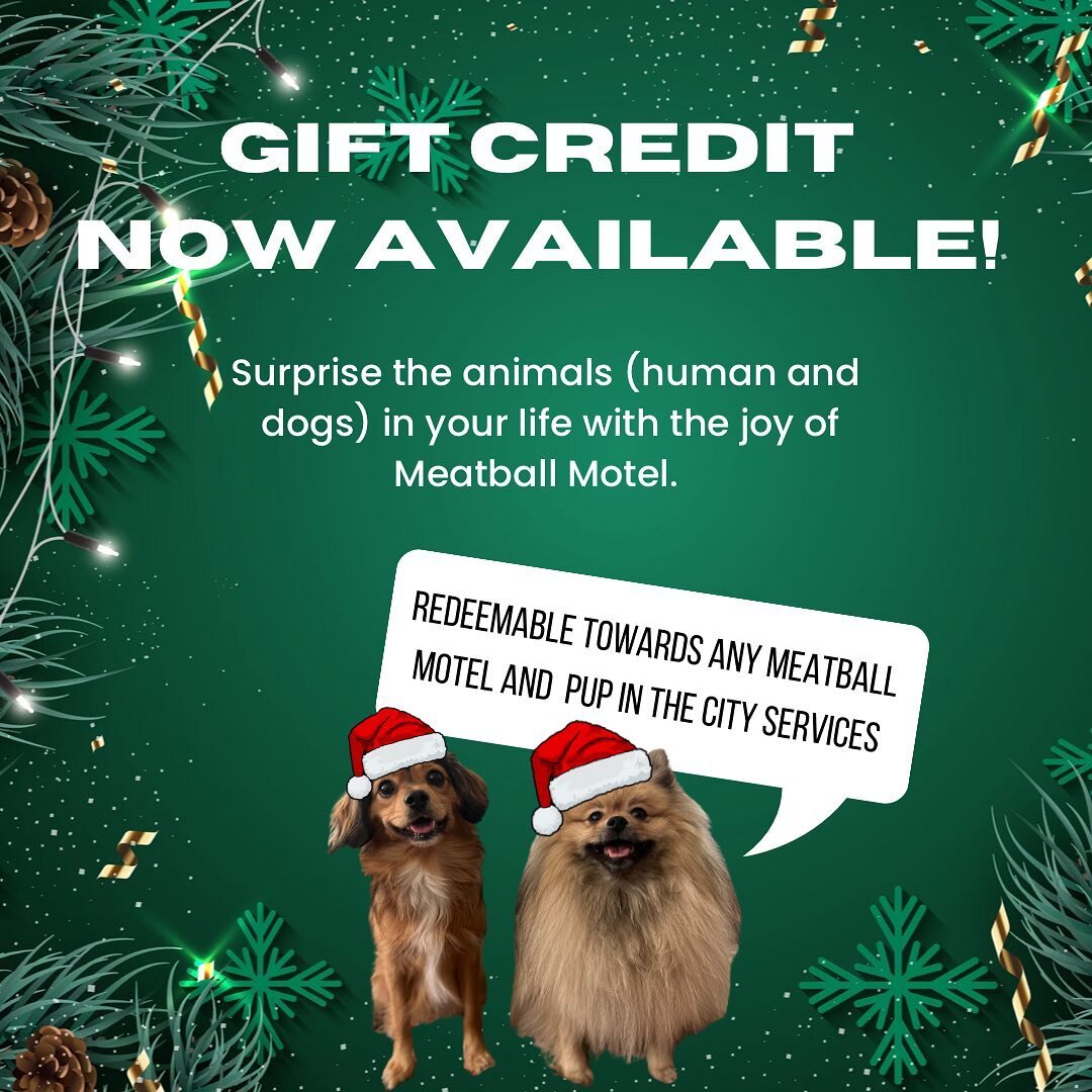 Not sure what to get someone with a dog this year? GIFT 💝 CREDIT TO MEATBALL MOTEL.

You can purchase any amount of credit to go towards or cover a training session, daycare, group classes or more. If we can make the animals in your life happy this 
