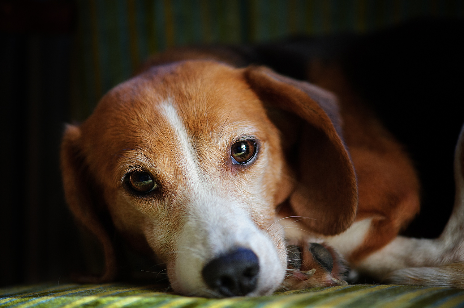 D3D_5525-w.jpg