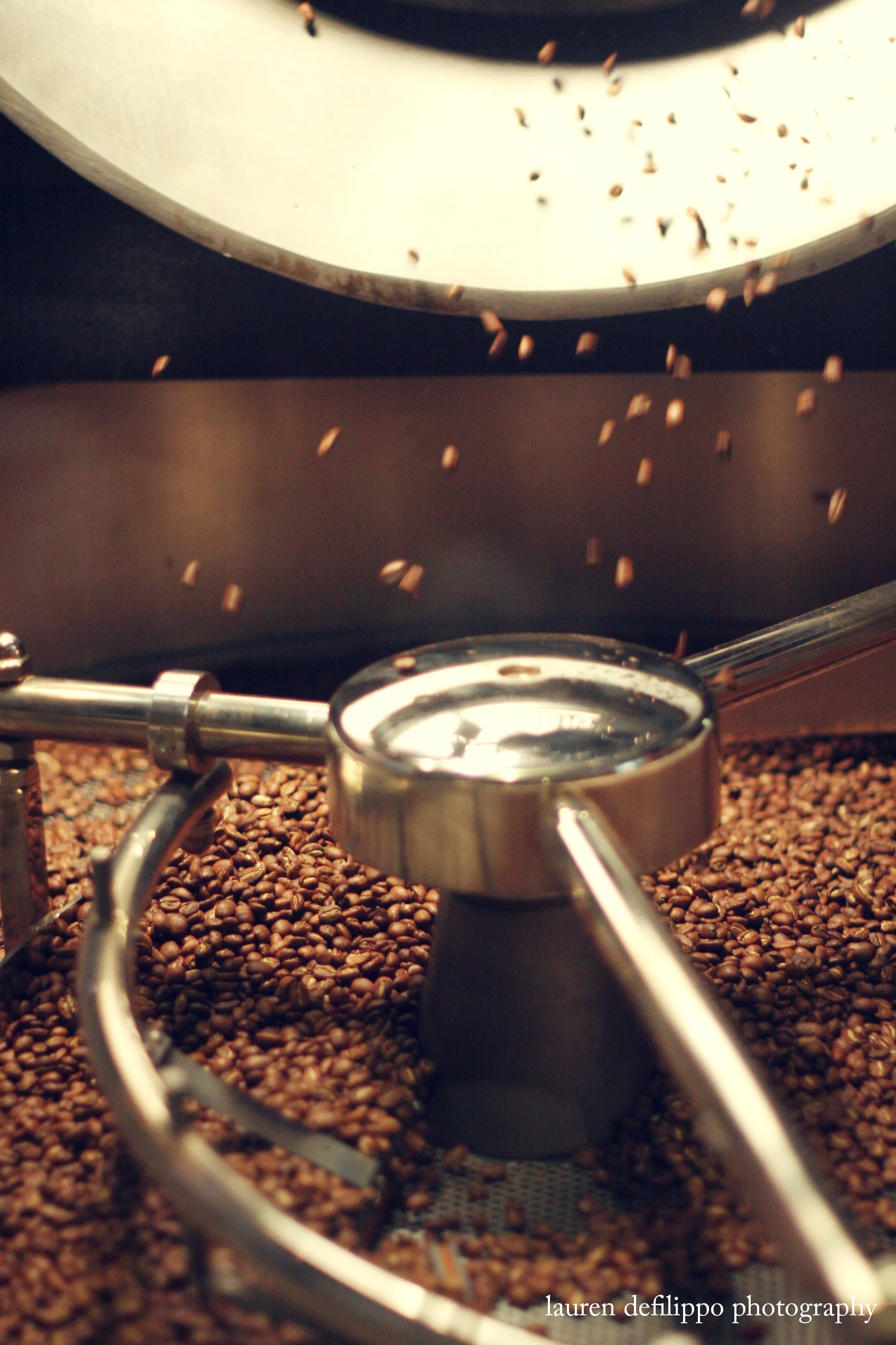 Freshly roasted beans falling from the barrel of Toby's Probat machine.