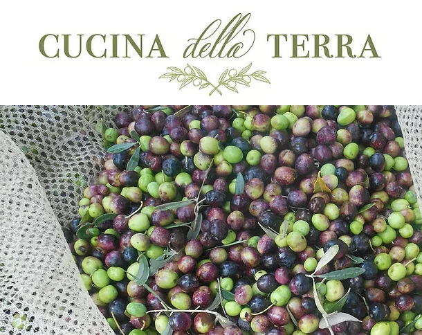 CUCINA DELLA TERRA // WEBSITE COPY