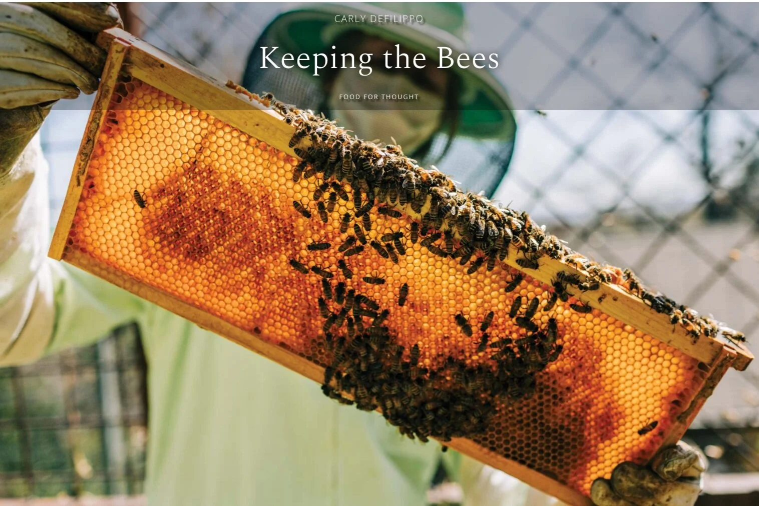 Editorial | Edible Denver Magazine